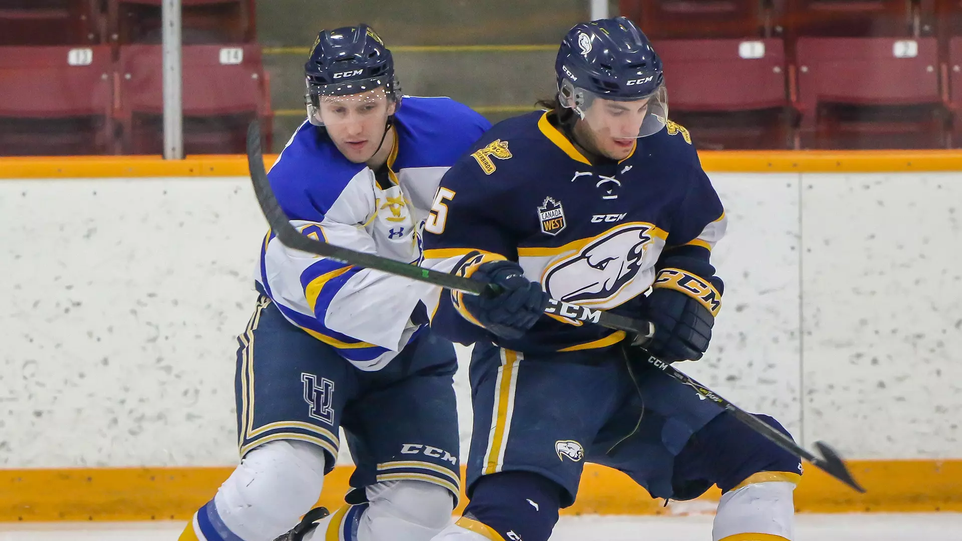 pronghorns swept by T-Birds