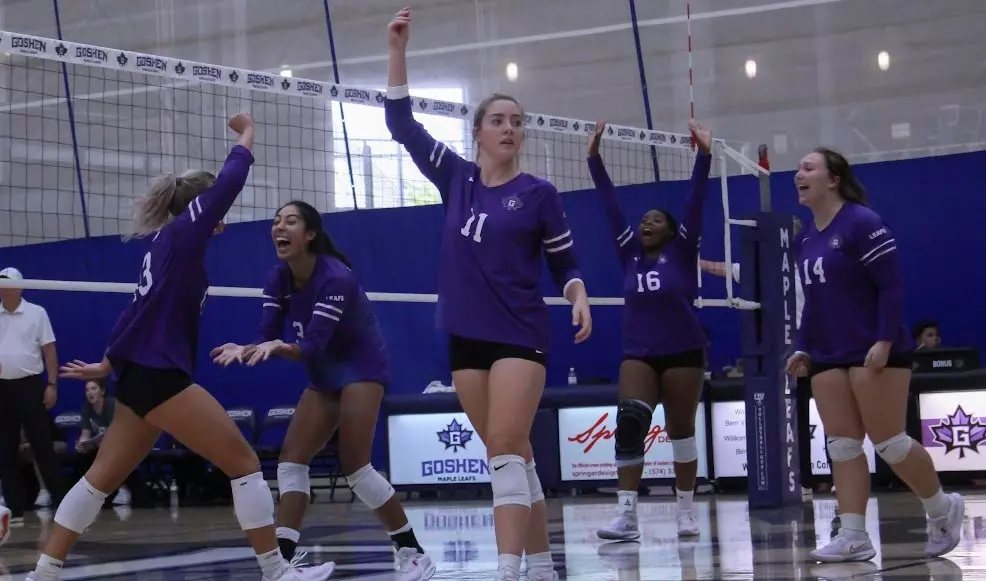 Women's volleyball celebrates a point.