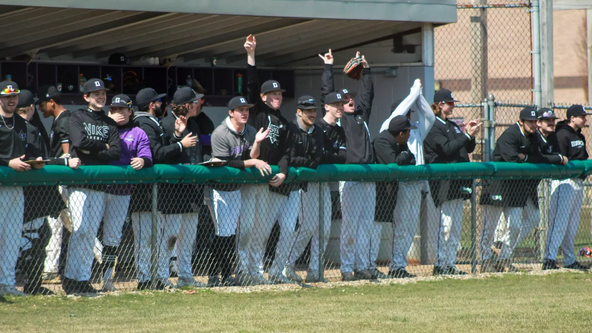 Baseball team celebrating from dugout