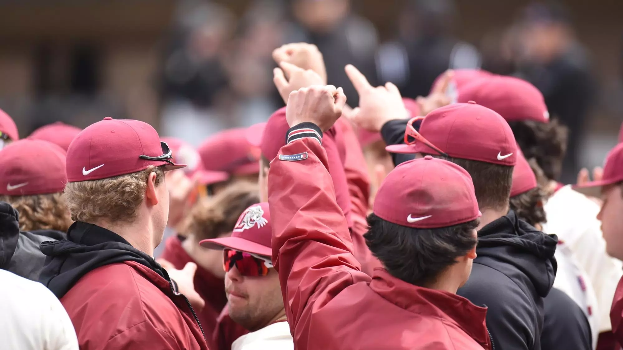 Lafayette Baseball