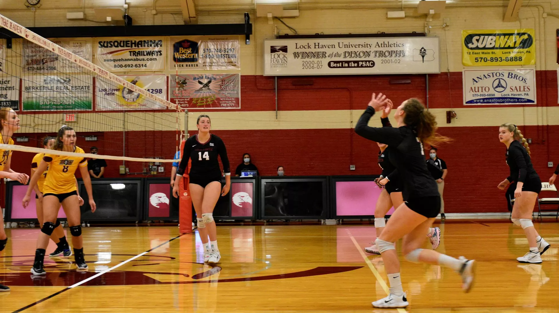 Volleyball vs Bloomsburg