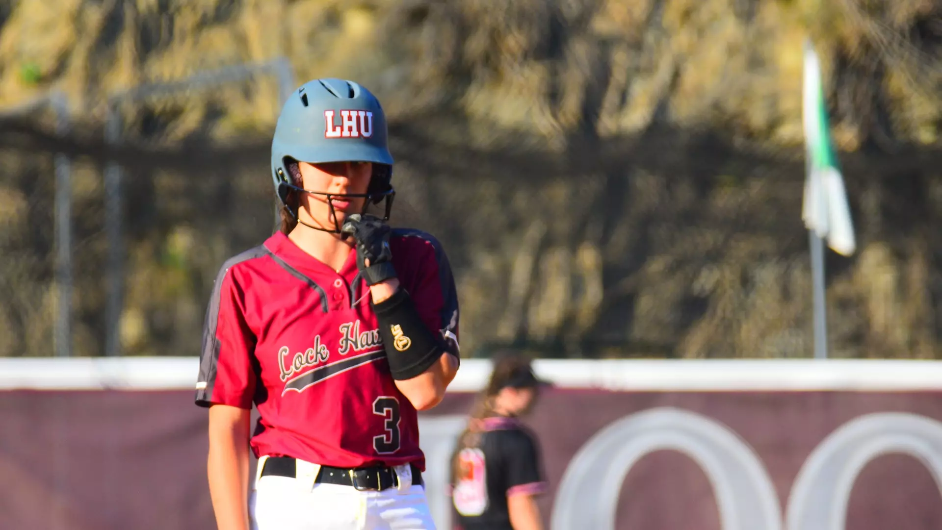 Softball sweeps Mansfield