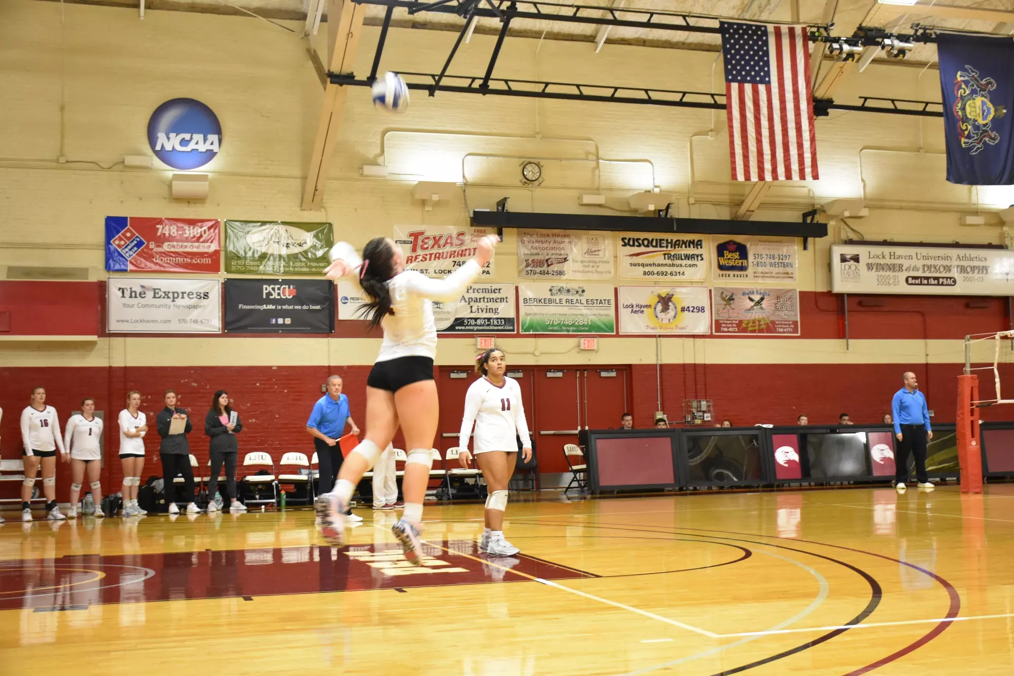 Lock Haven Volleyball Pink Out