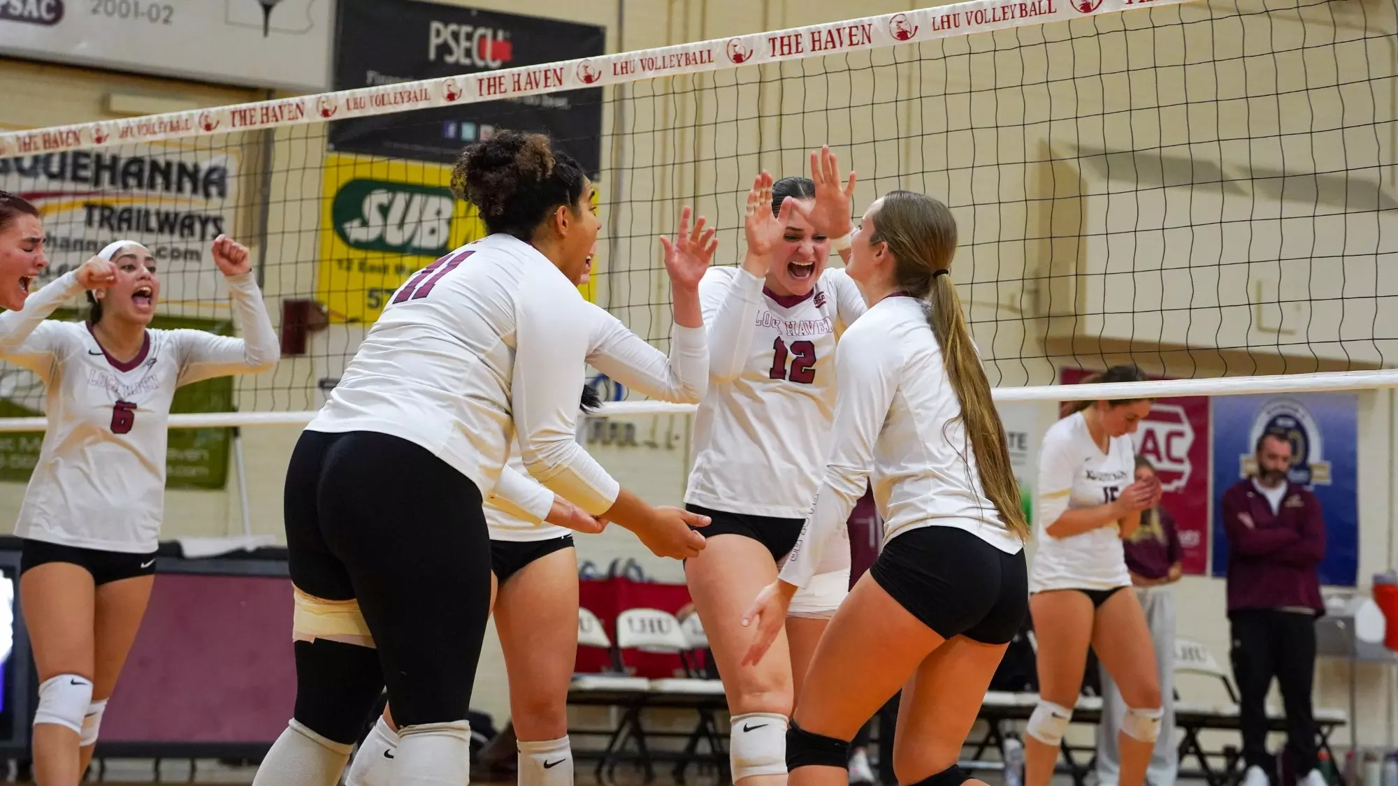 Volleyball Celebration