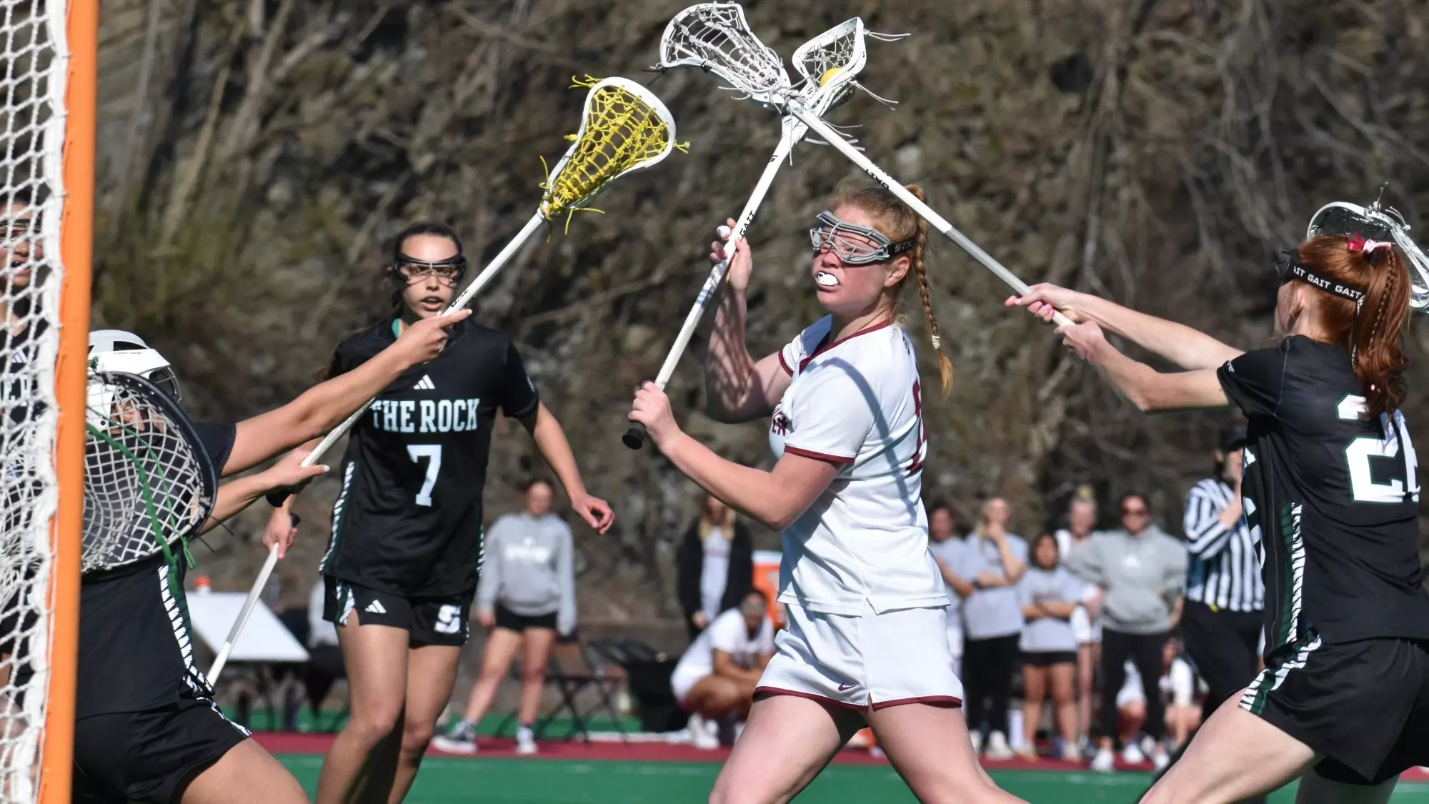 24 LH lax