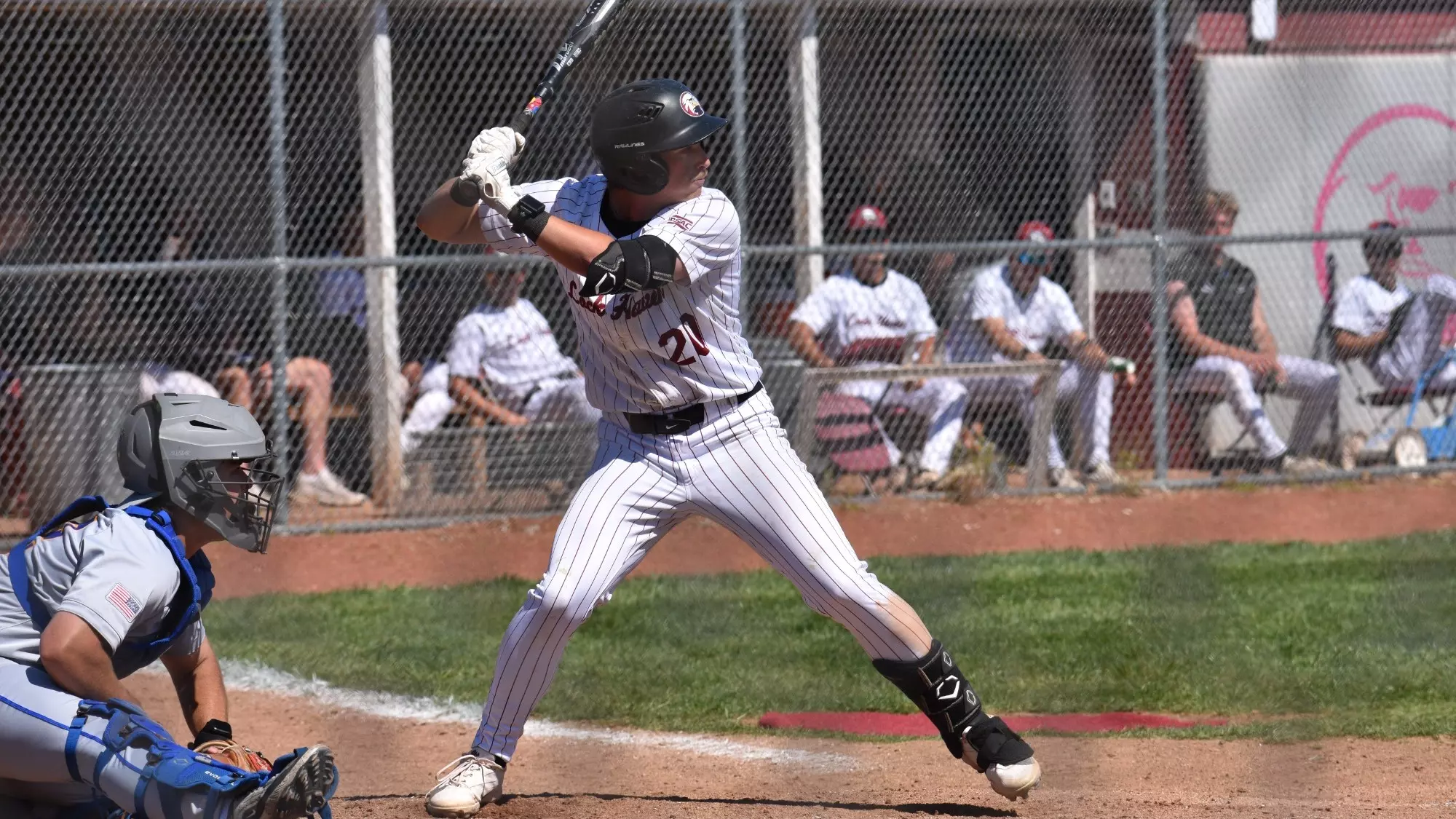 Baseball Nick Negola 