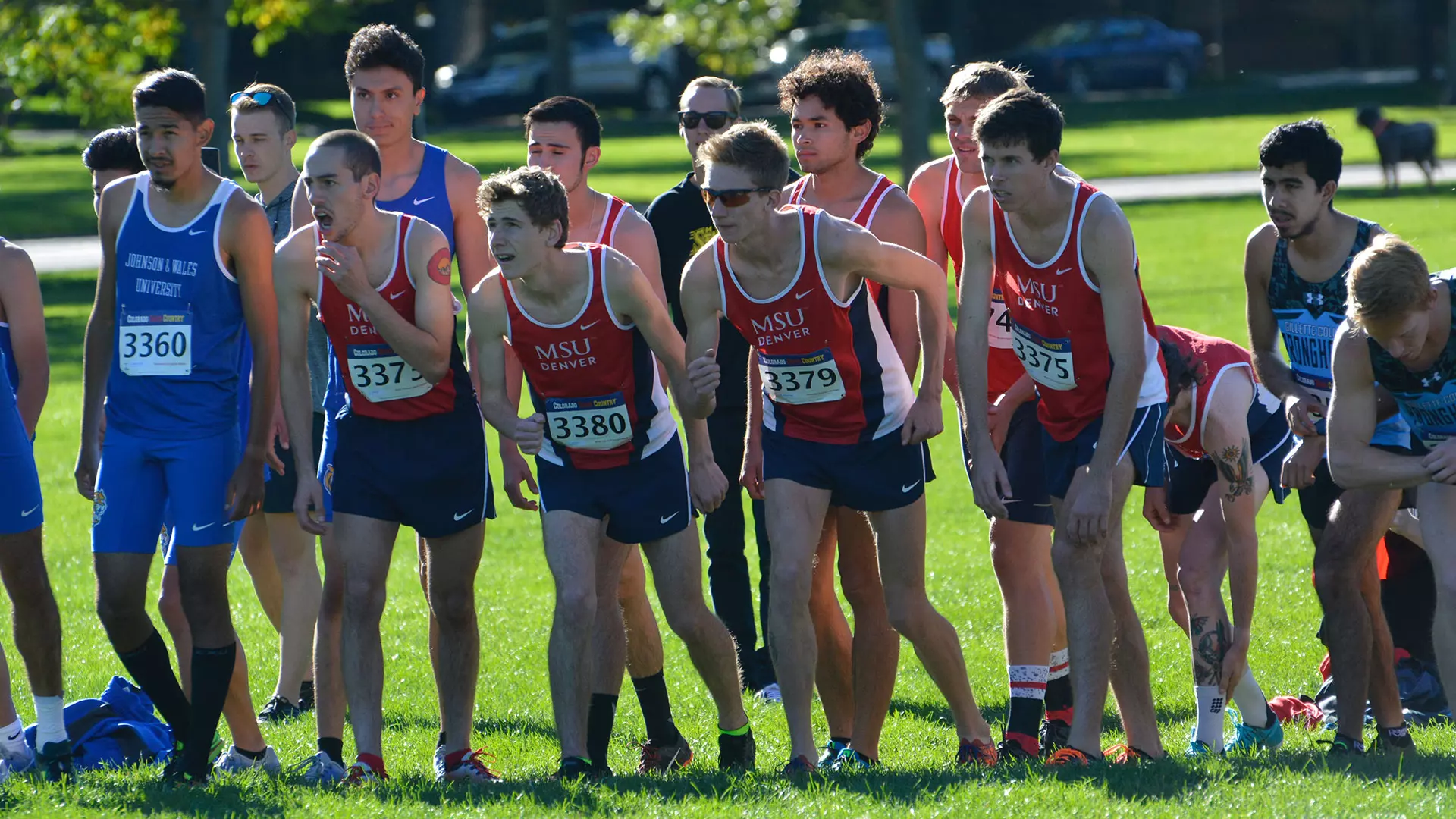 xc