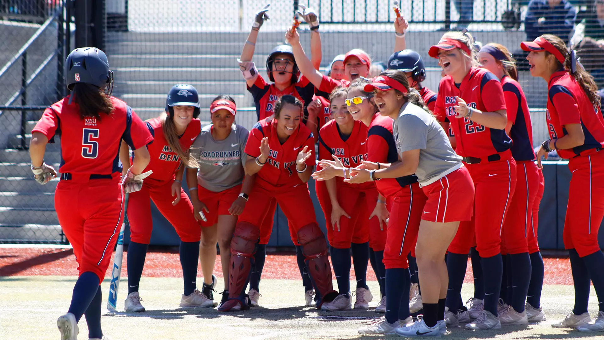 Softball Preview