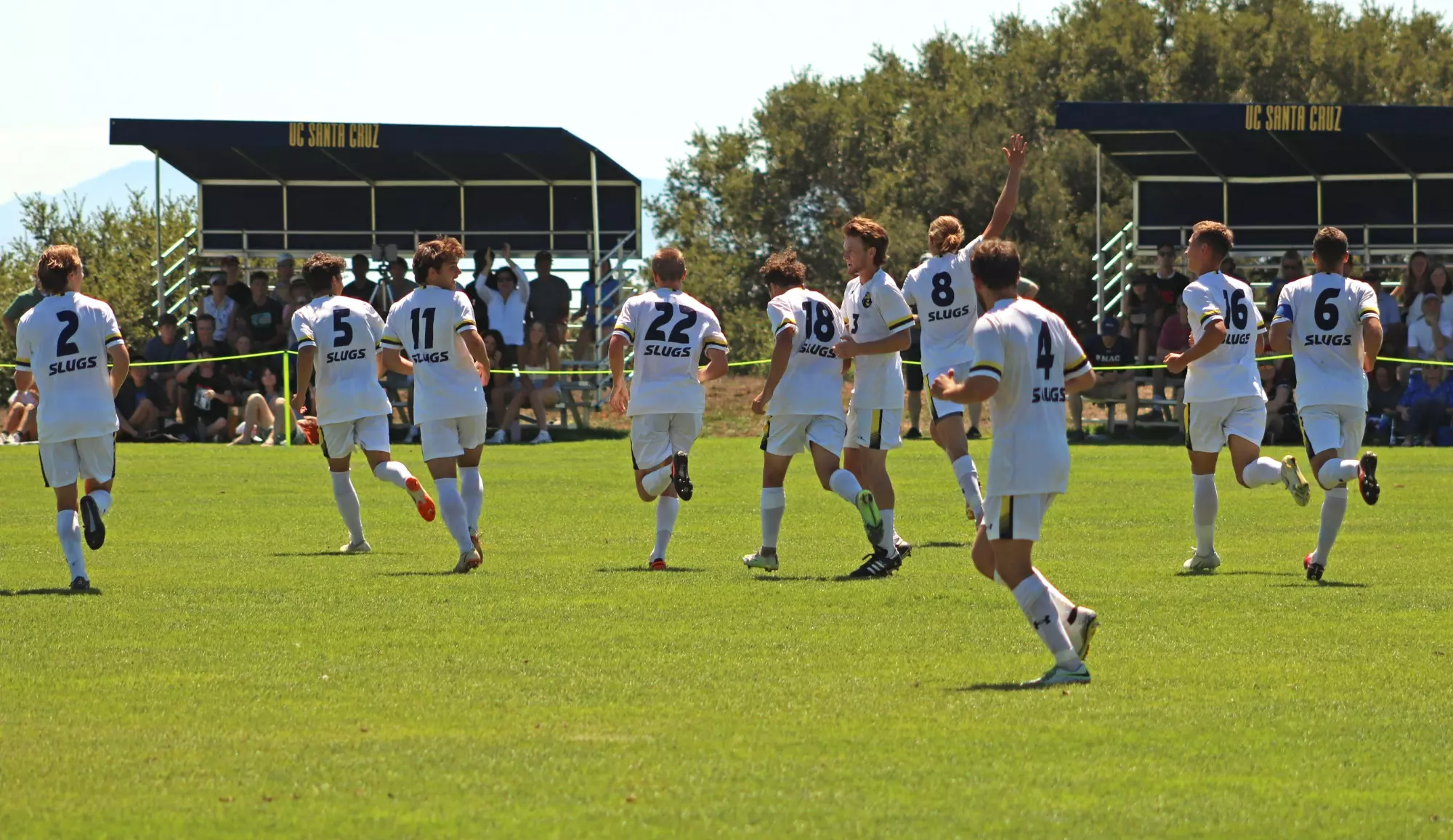 Men's Soccer