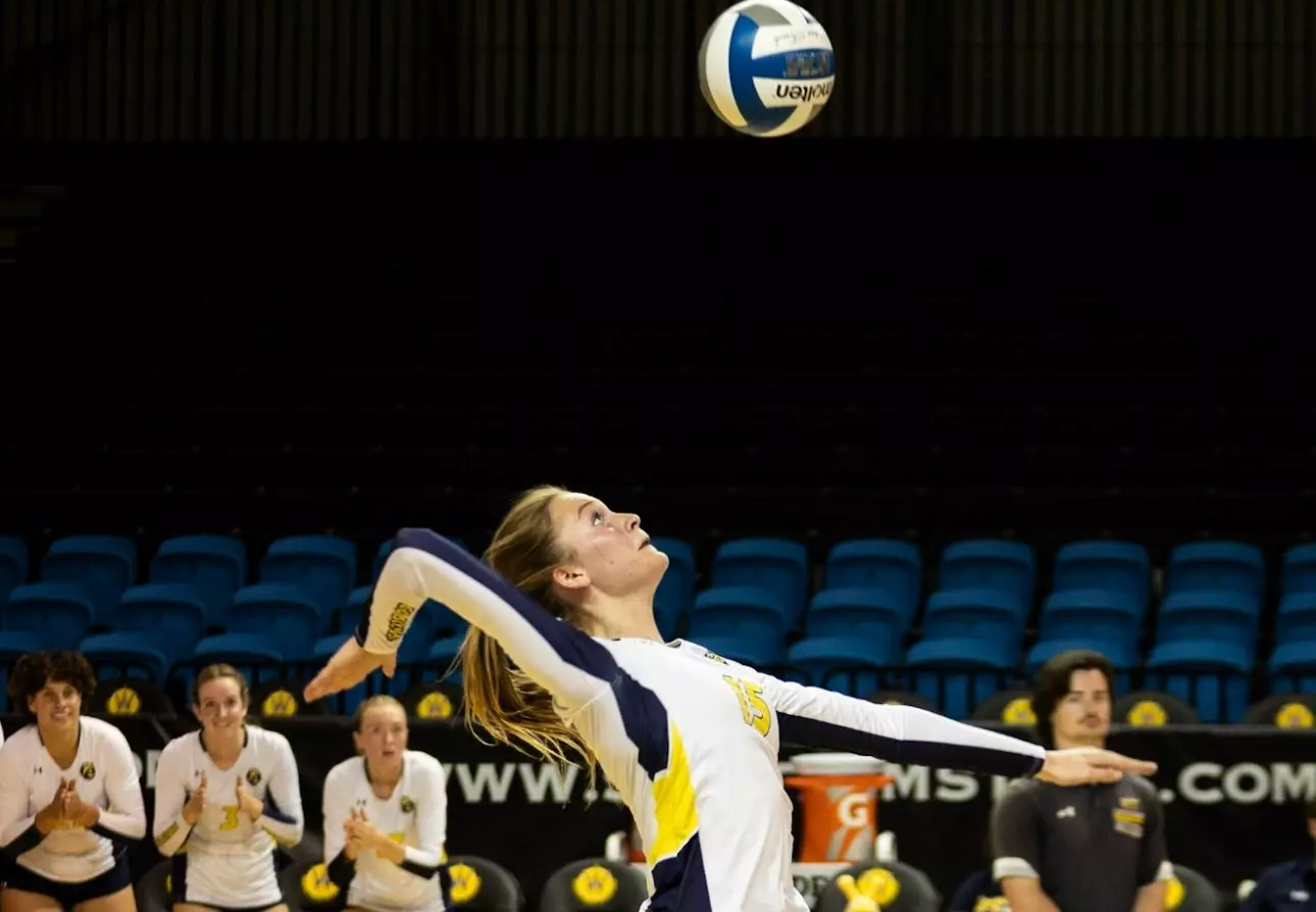 Tazelaar serve