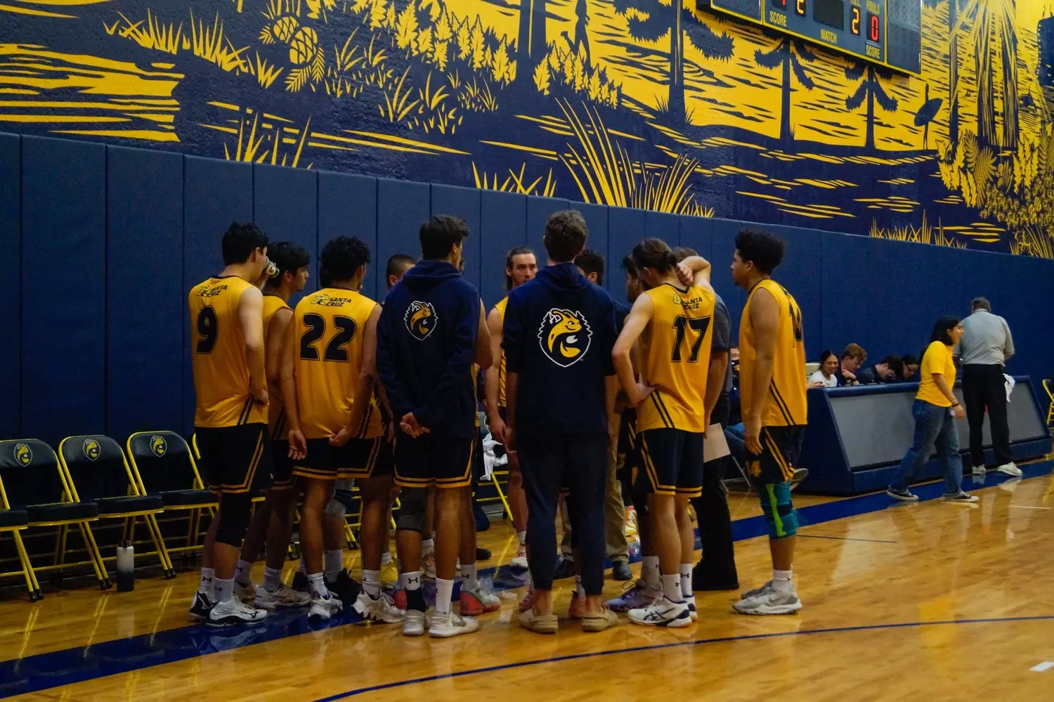 Men's Volleyball