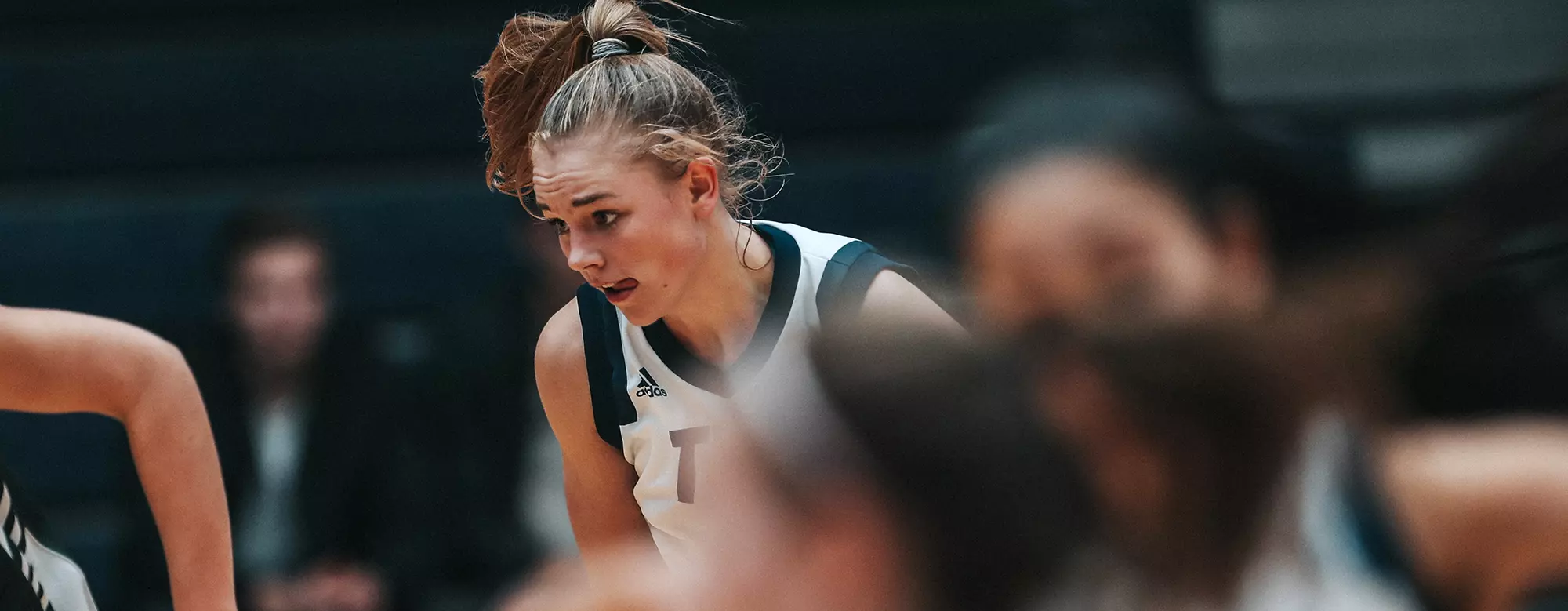 wbb