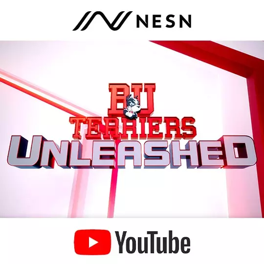 Terriers Unleashed - Small