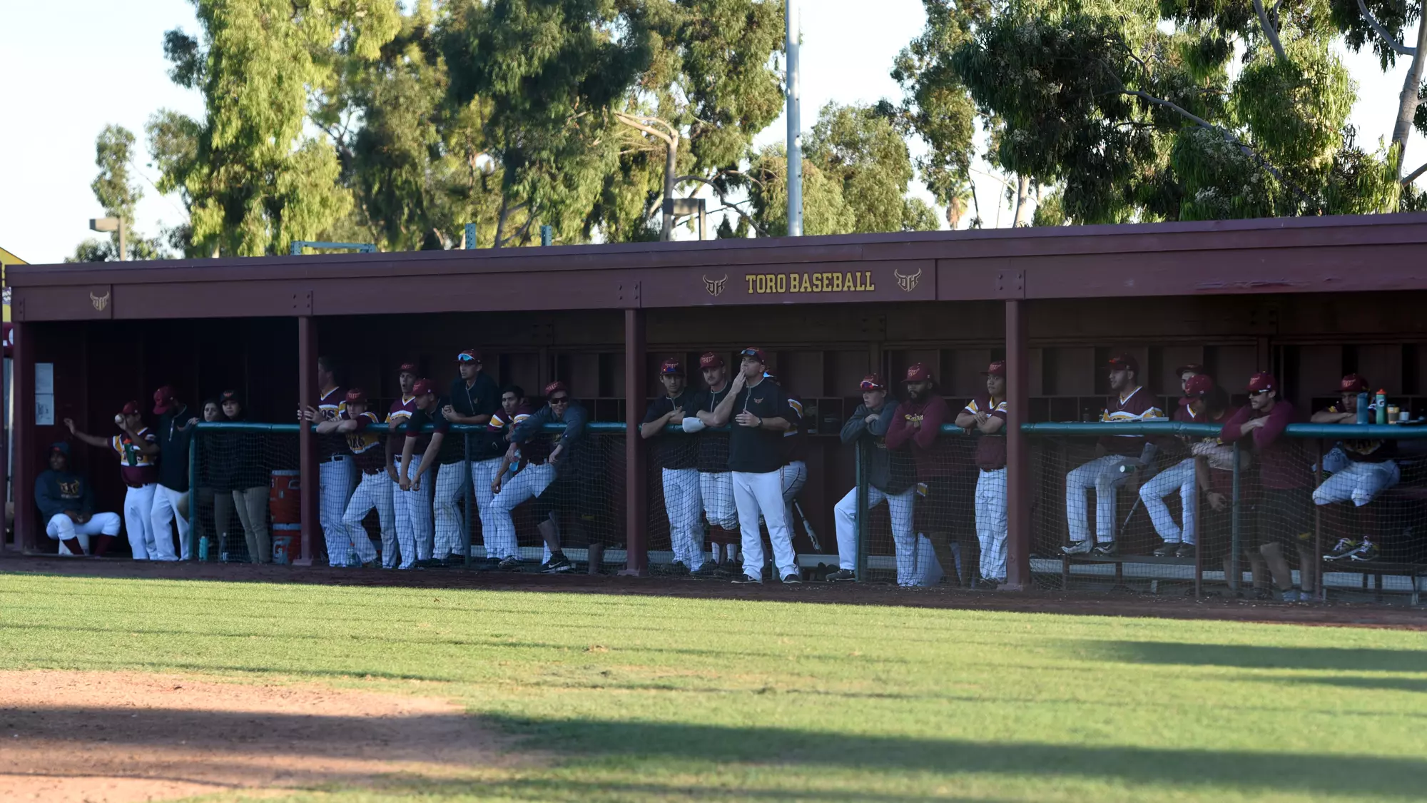 Toros Dugout