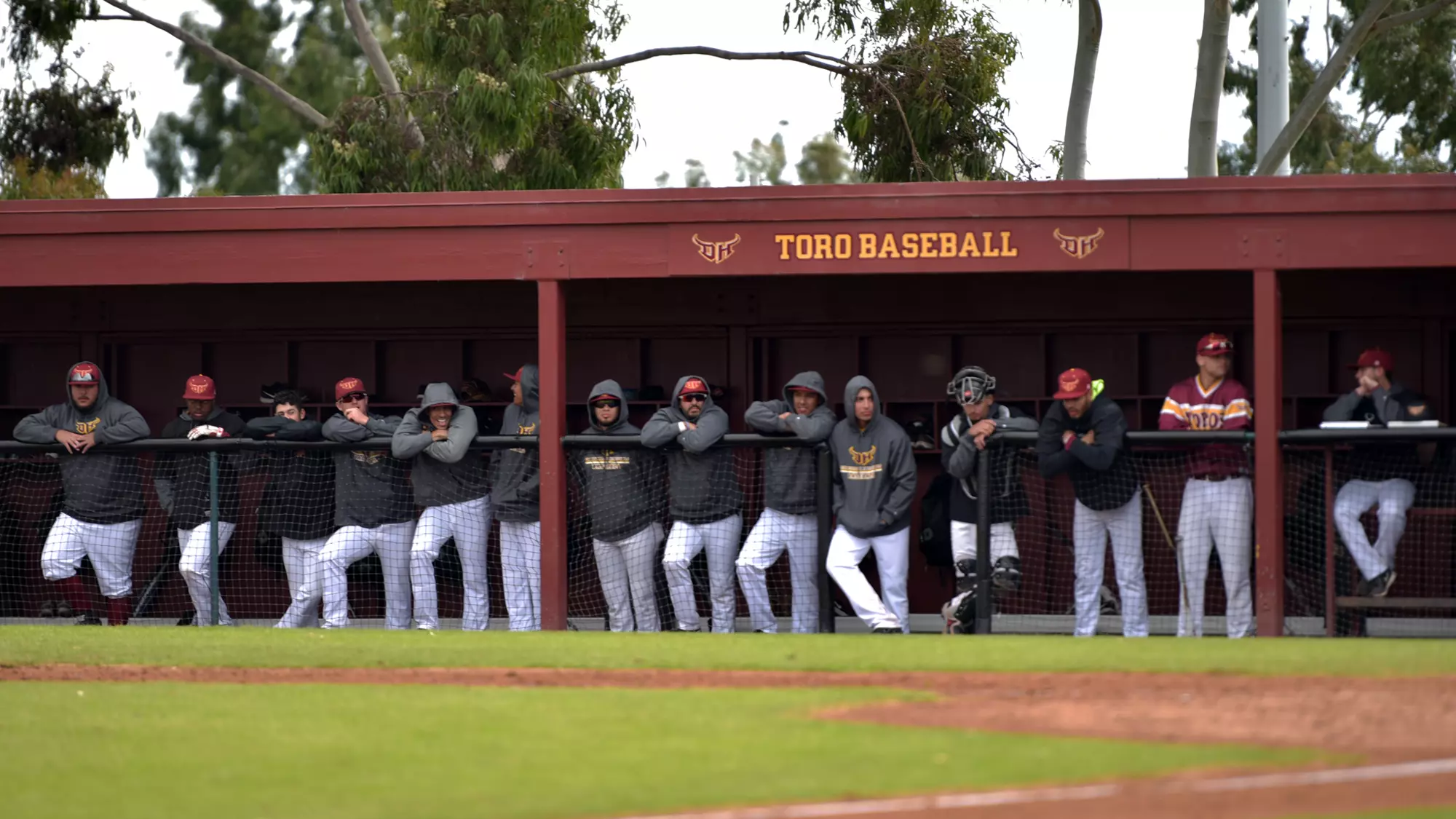 Team Bench