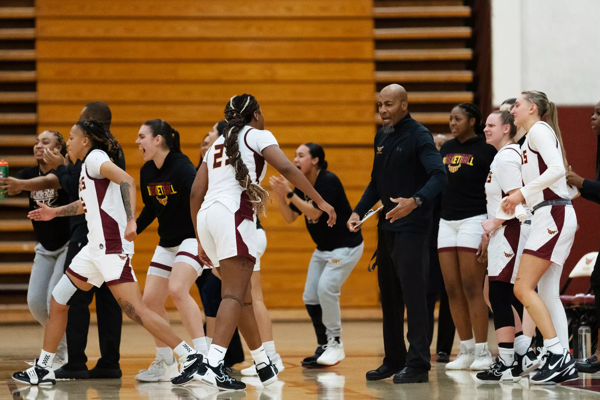 WBB bench 