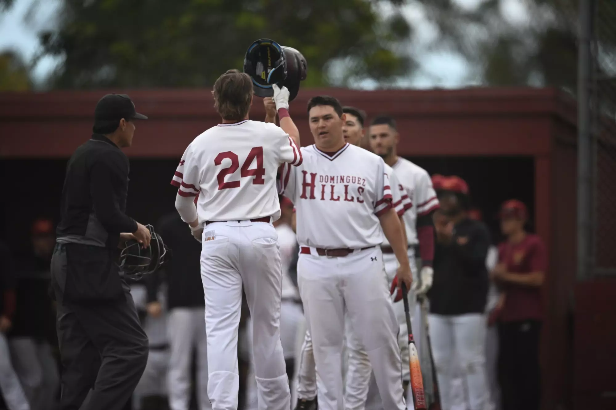 baseball 24