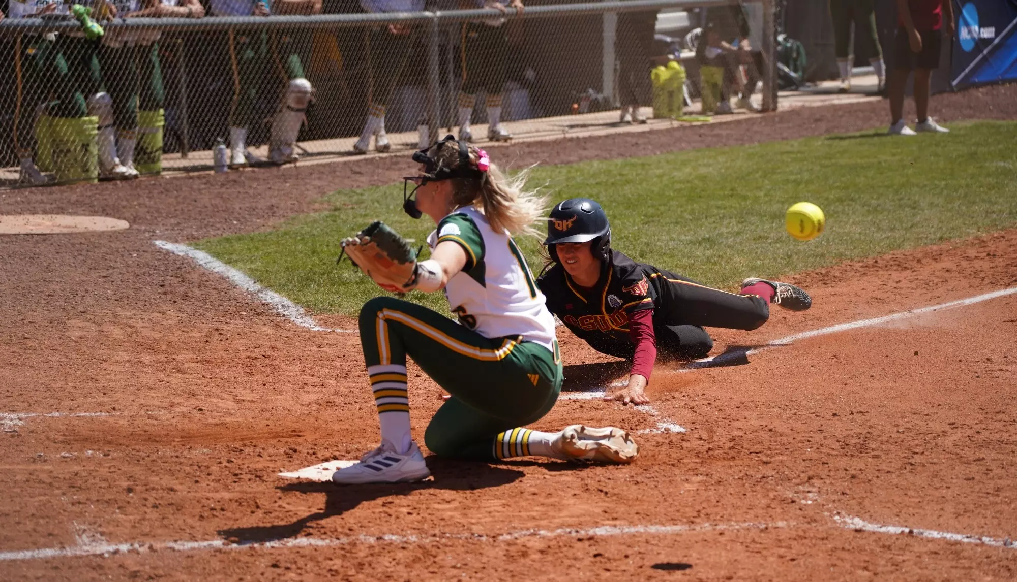 Alex Davis - Softball - Cal State Dominguez Hills Athletics