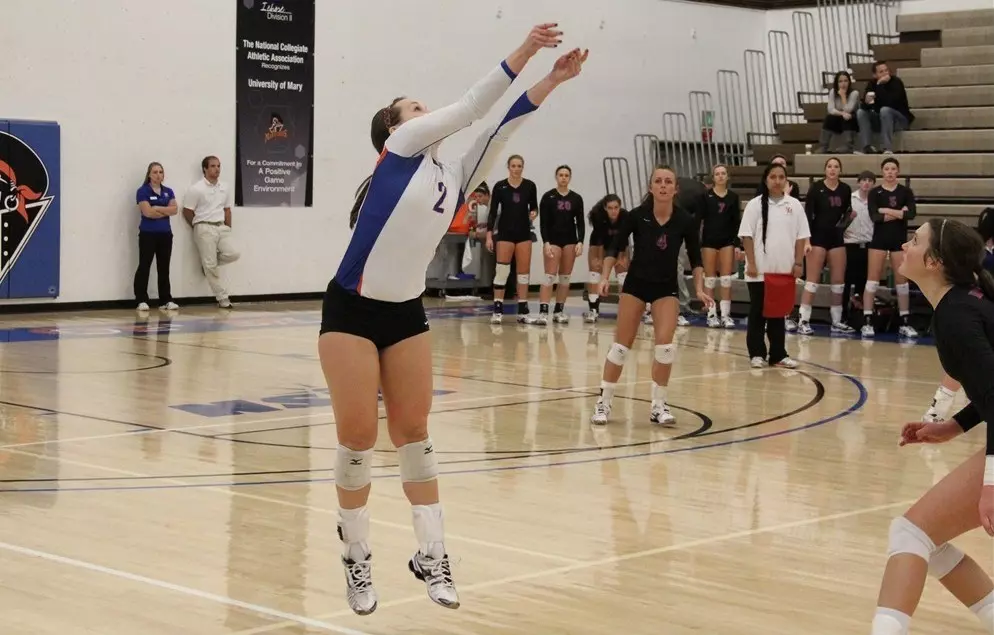 Brown digs ball