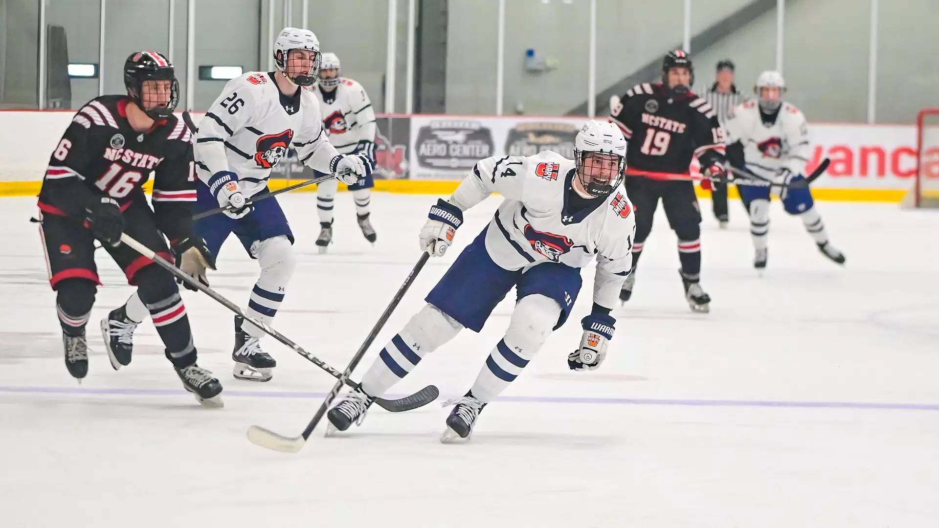 Dain Sardelli hunts the puck