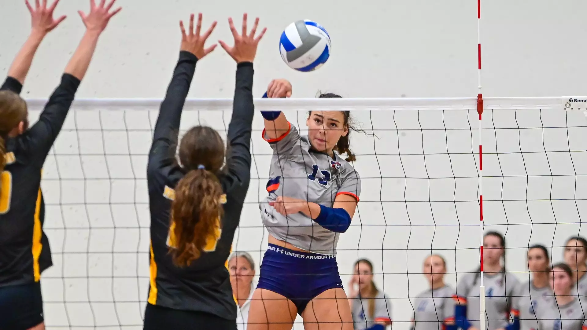 Gabrielle Reynolds attack against BHSU