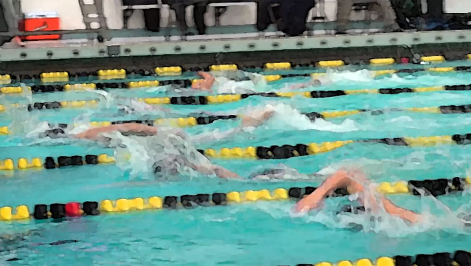 Swim Across America graphic