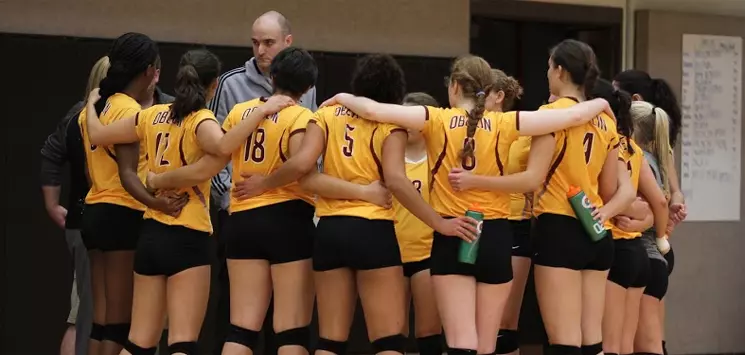 volleyball_team_hudle_2015