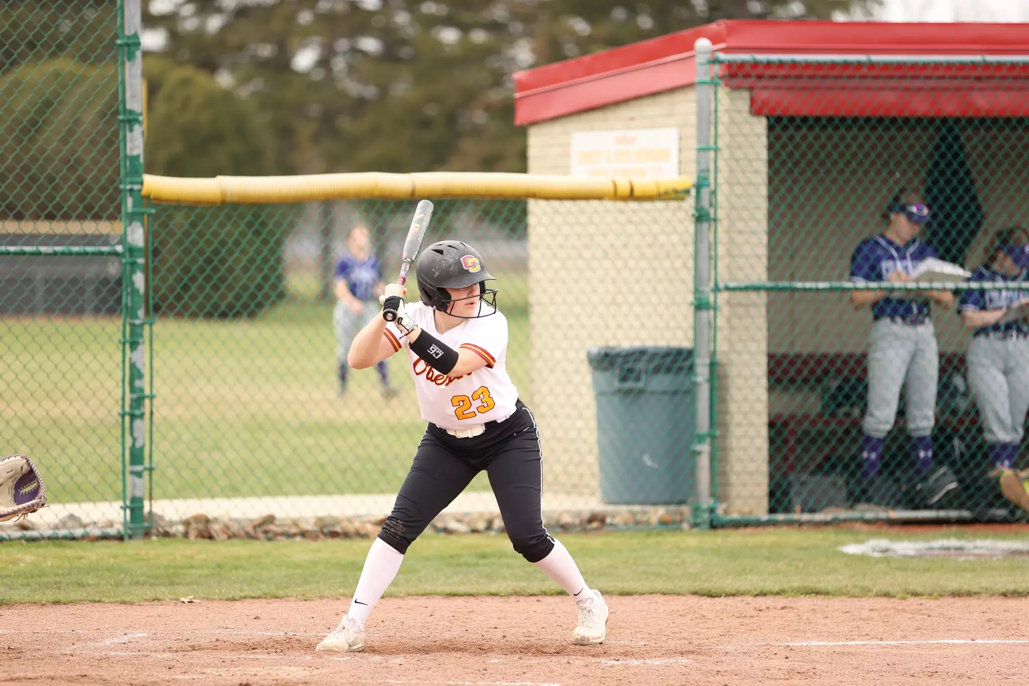 Friedman, Jess