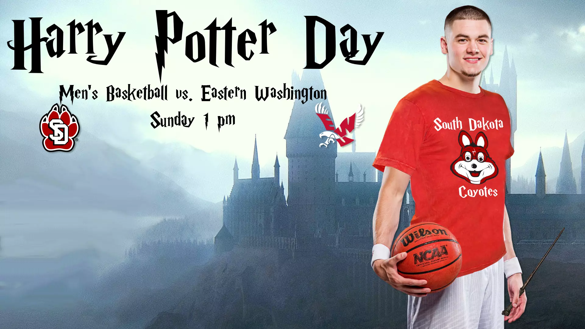 Harry Potter Day