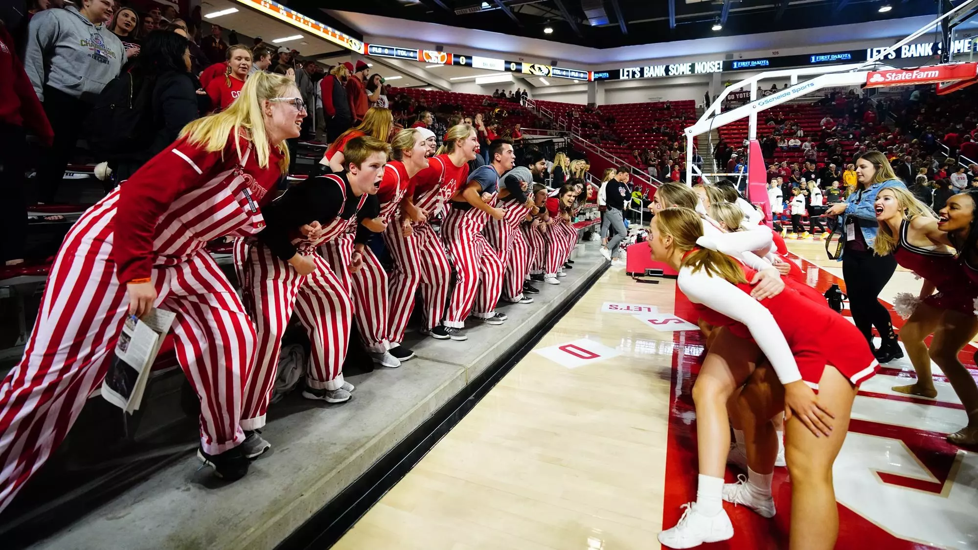 Coyotes Crazies