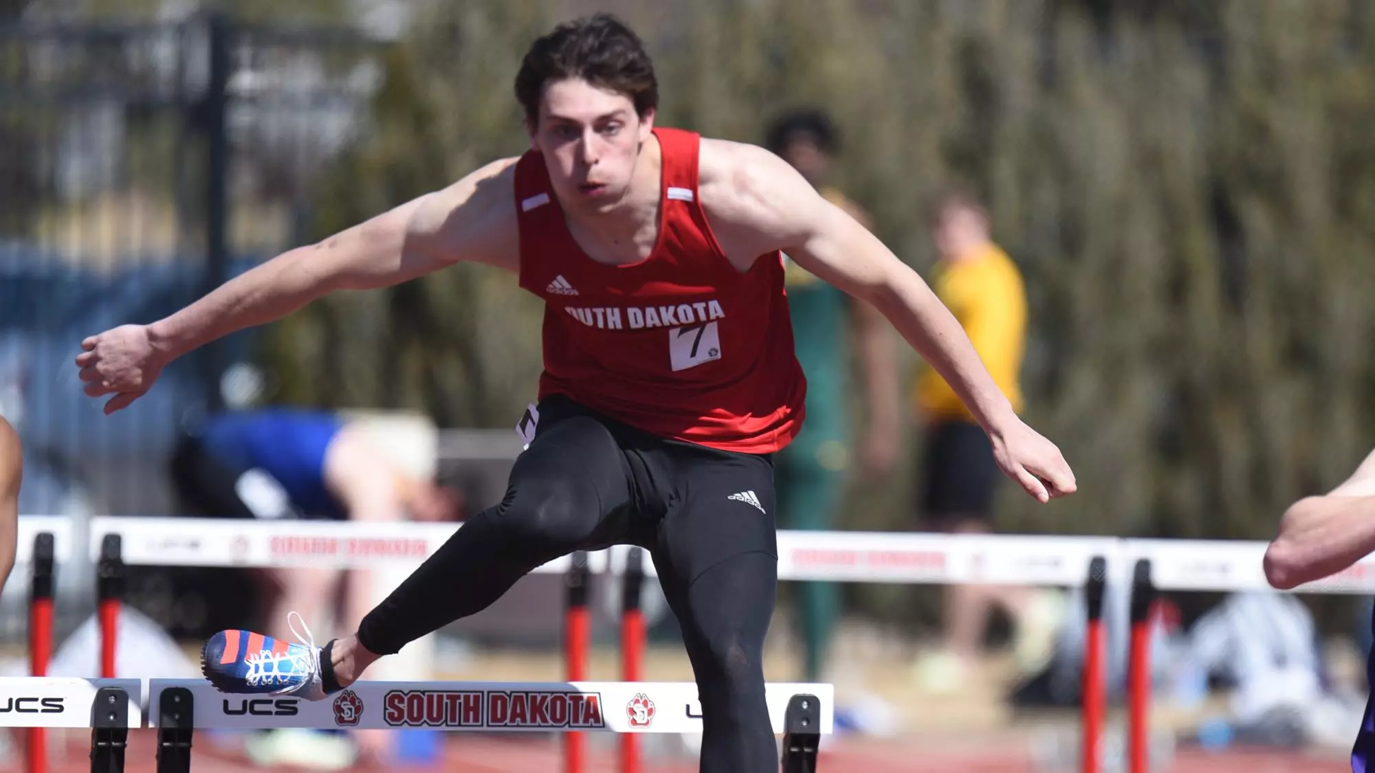 Wyatt Lubarski