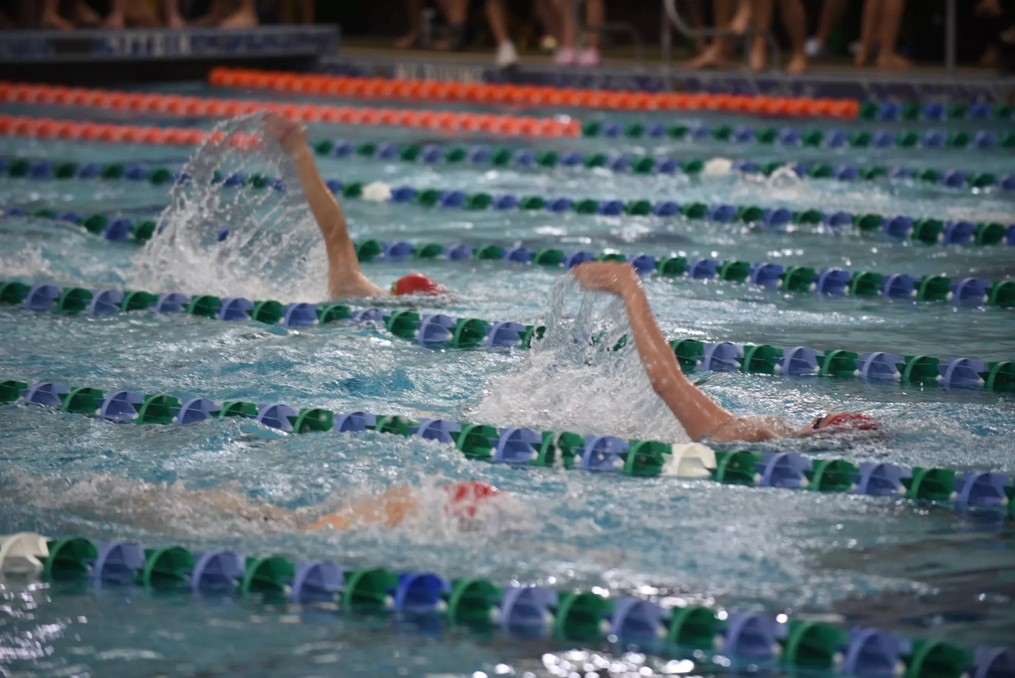 Coyote Extravaganza Day 1