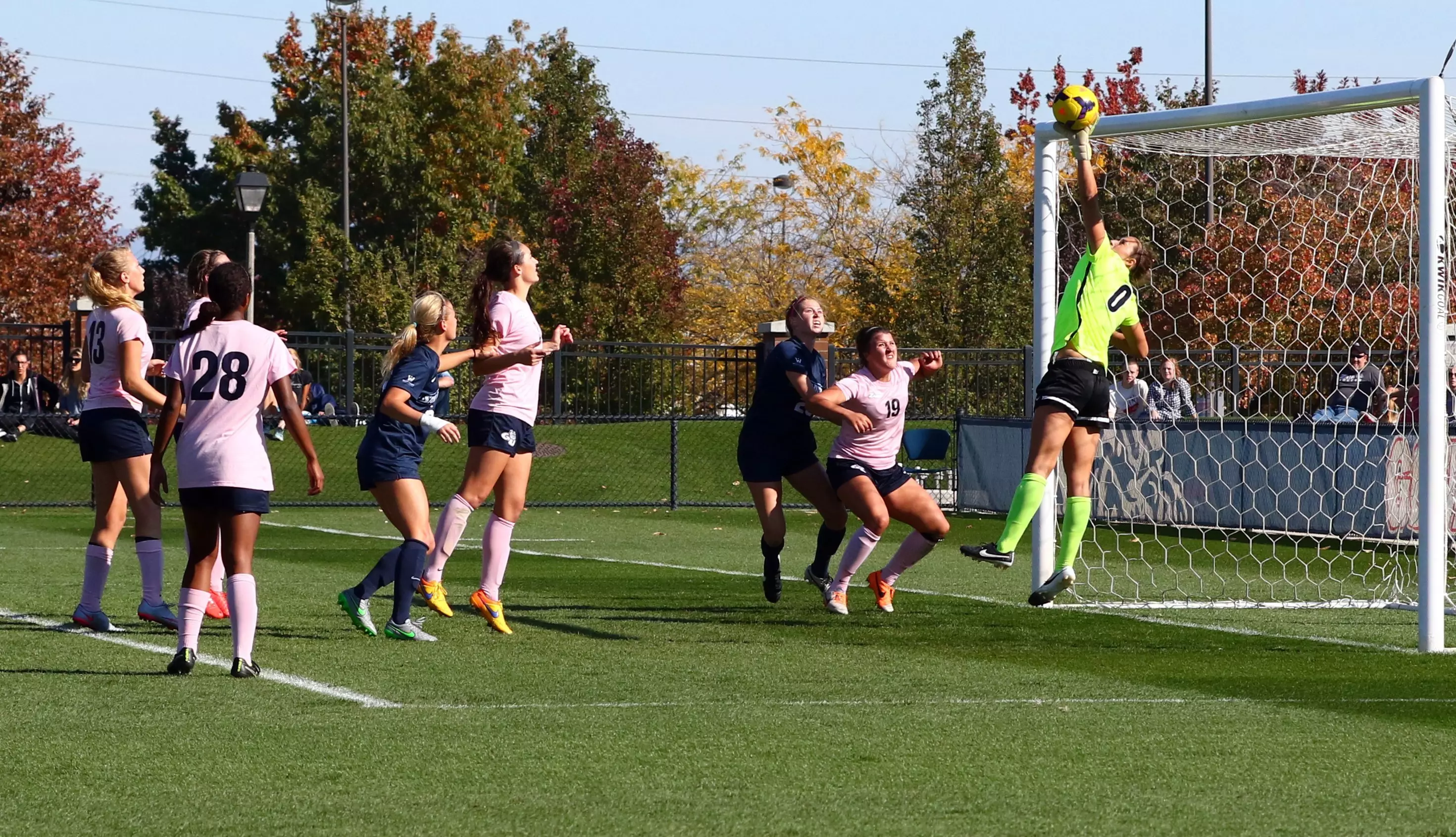 Tombari makes save