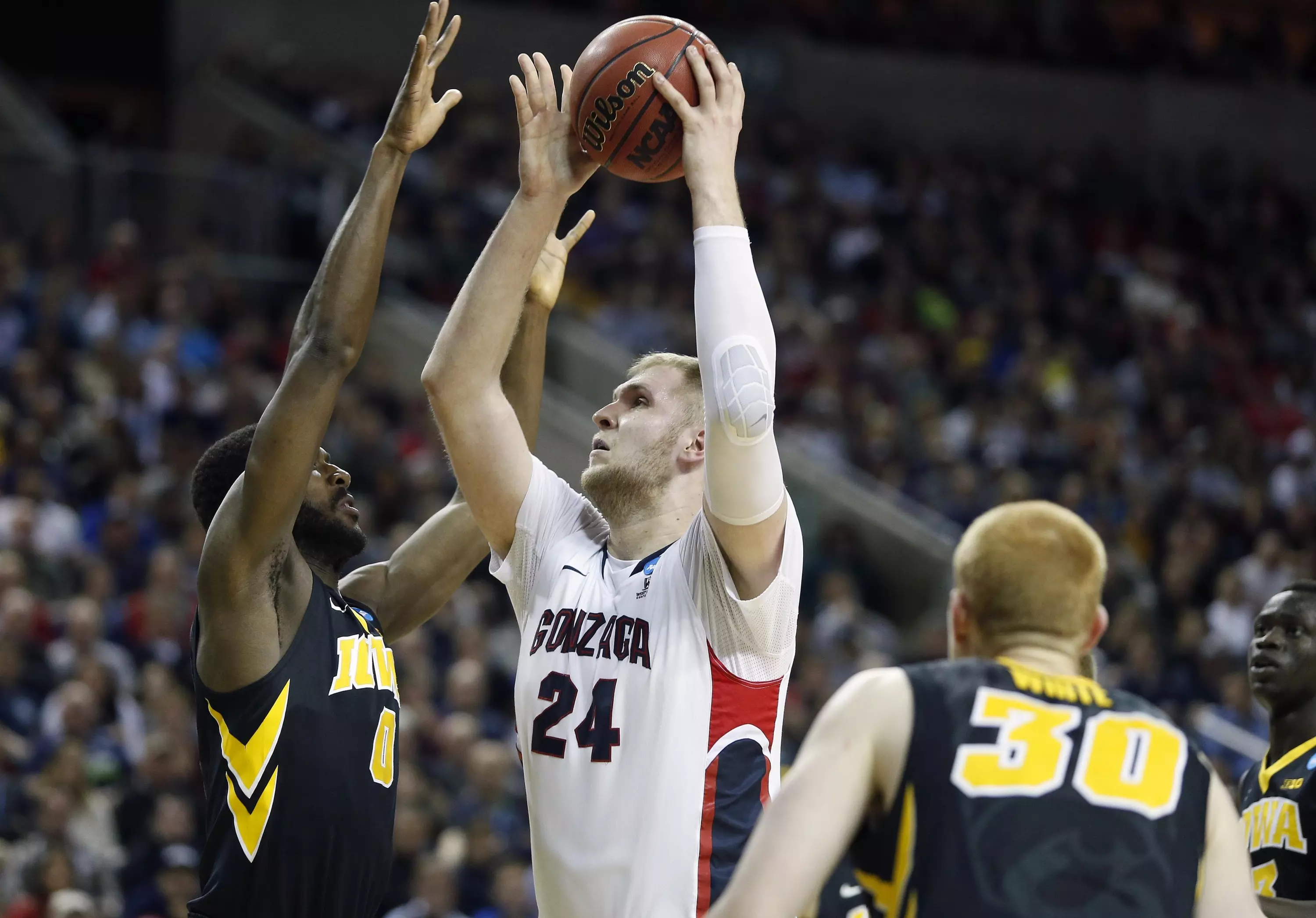 Senior Przemek Karnowski