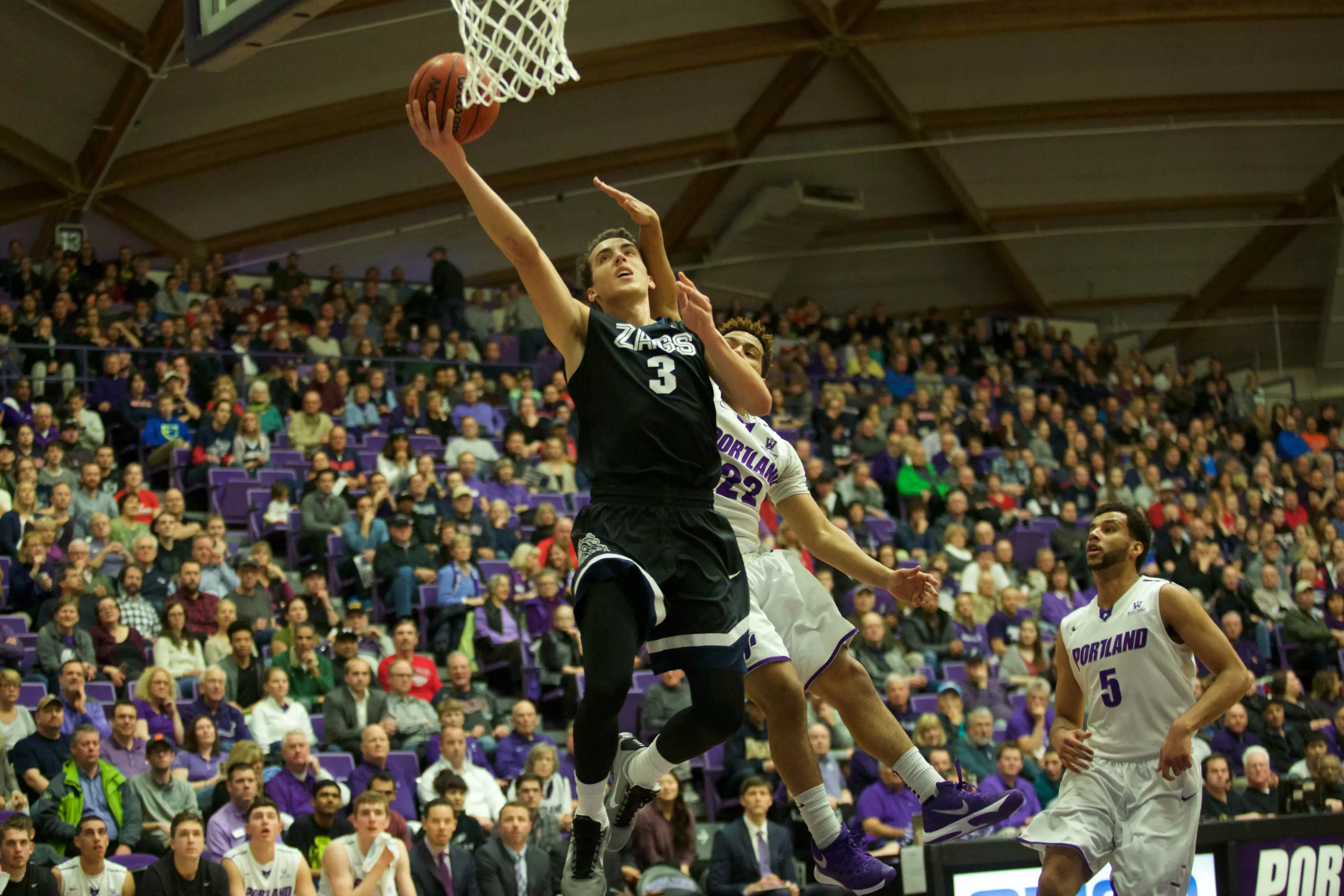 Senior Kyle Dranginis