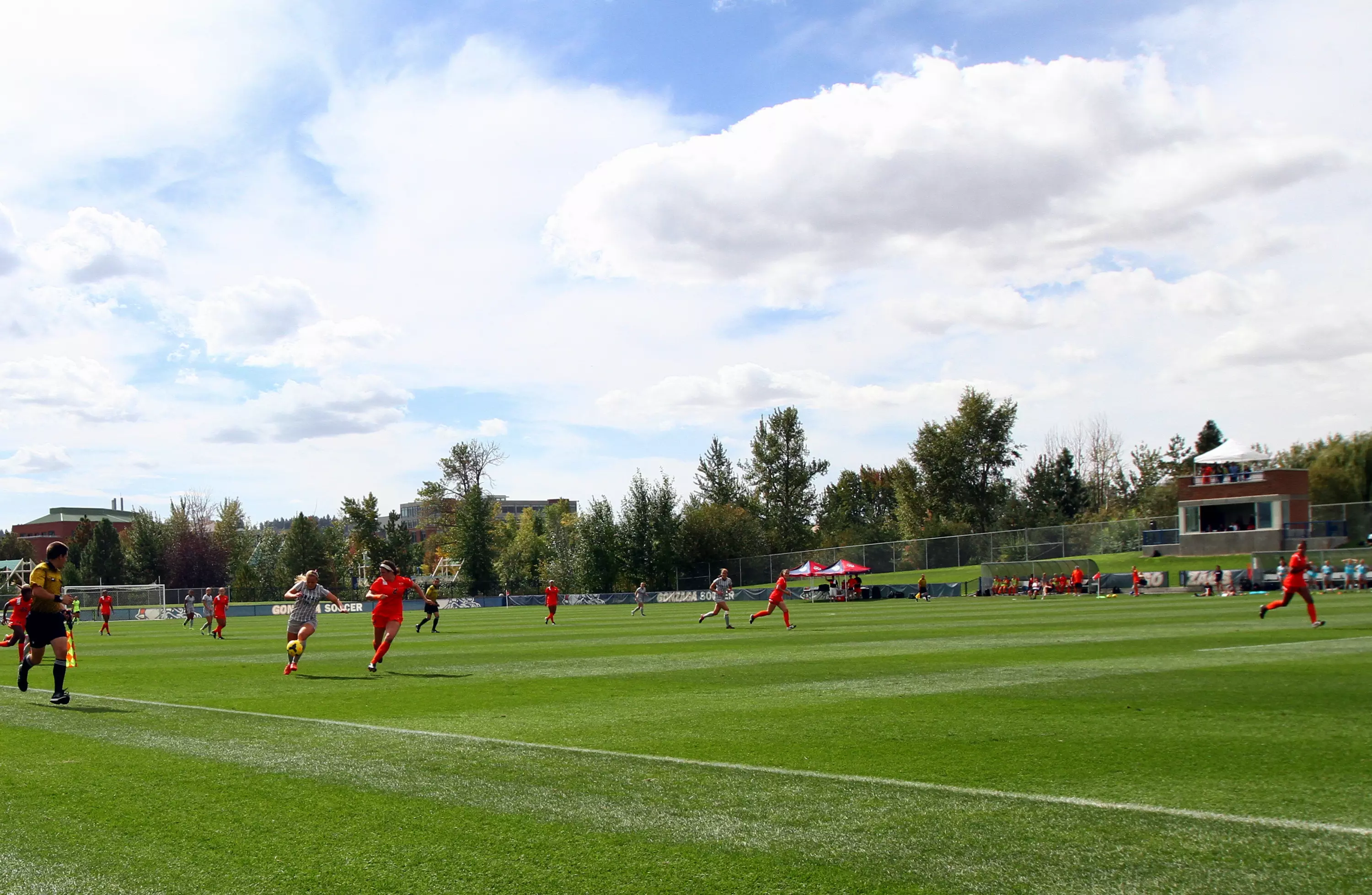 Zag WSOC