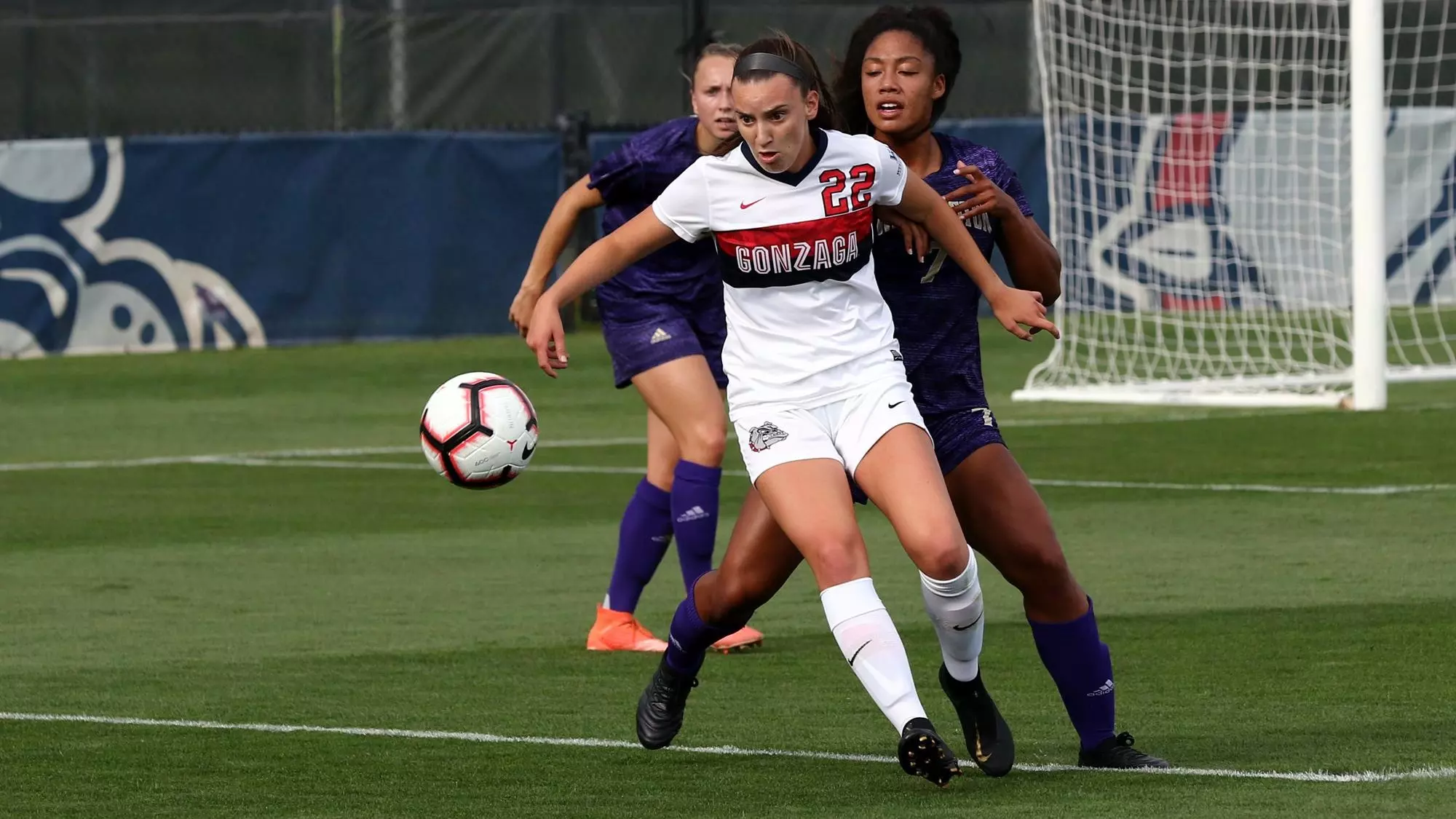 Braun wsoc