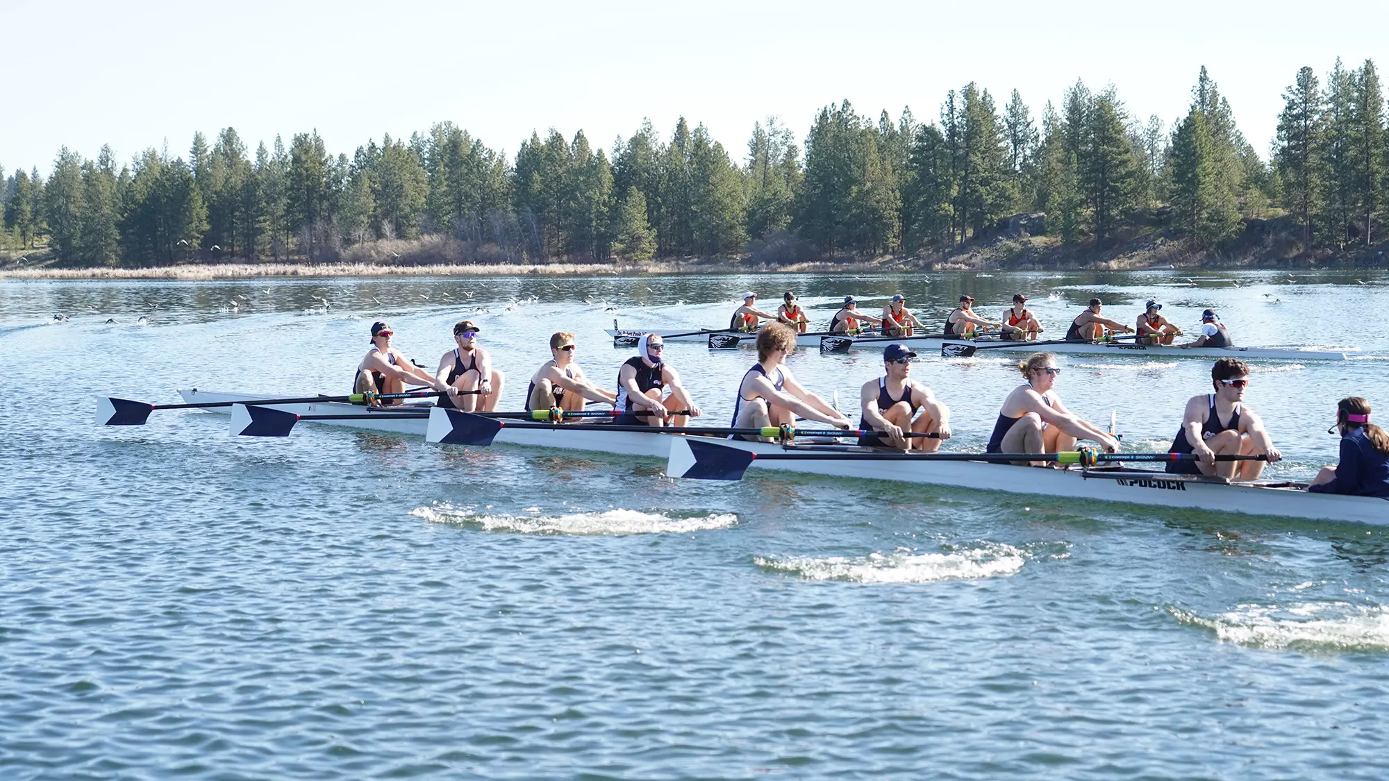 JV8