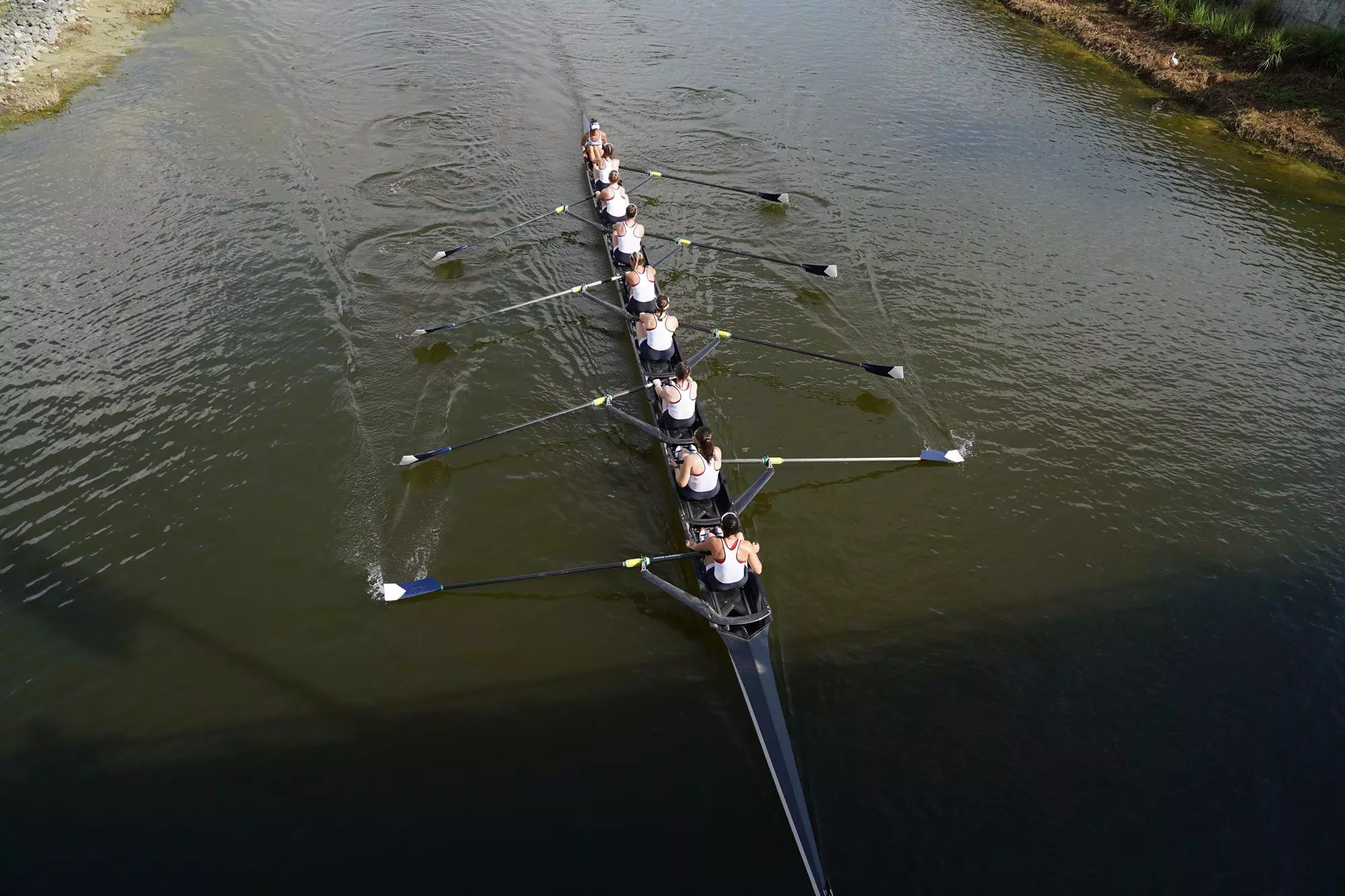 GU's V8 boat wraps around Regatta Island in its cool down after winning the D Final at the NCAA Championships Sunday in Sarasota, Fla.