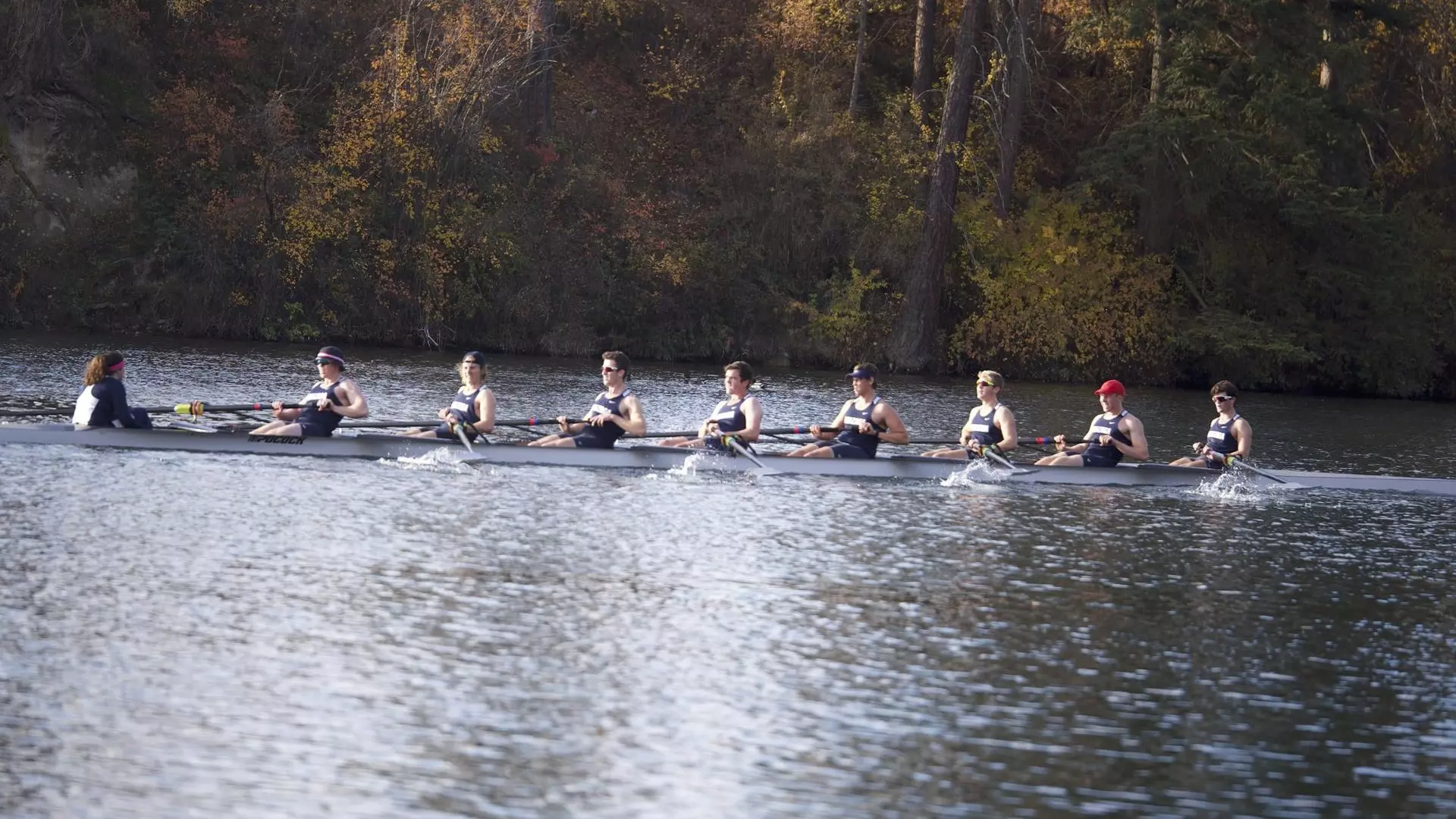 Men's Rowing
