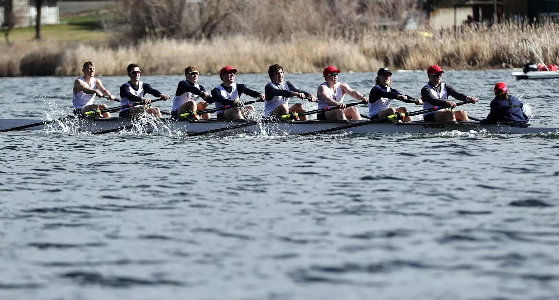 Men's Rowing