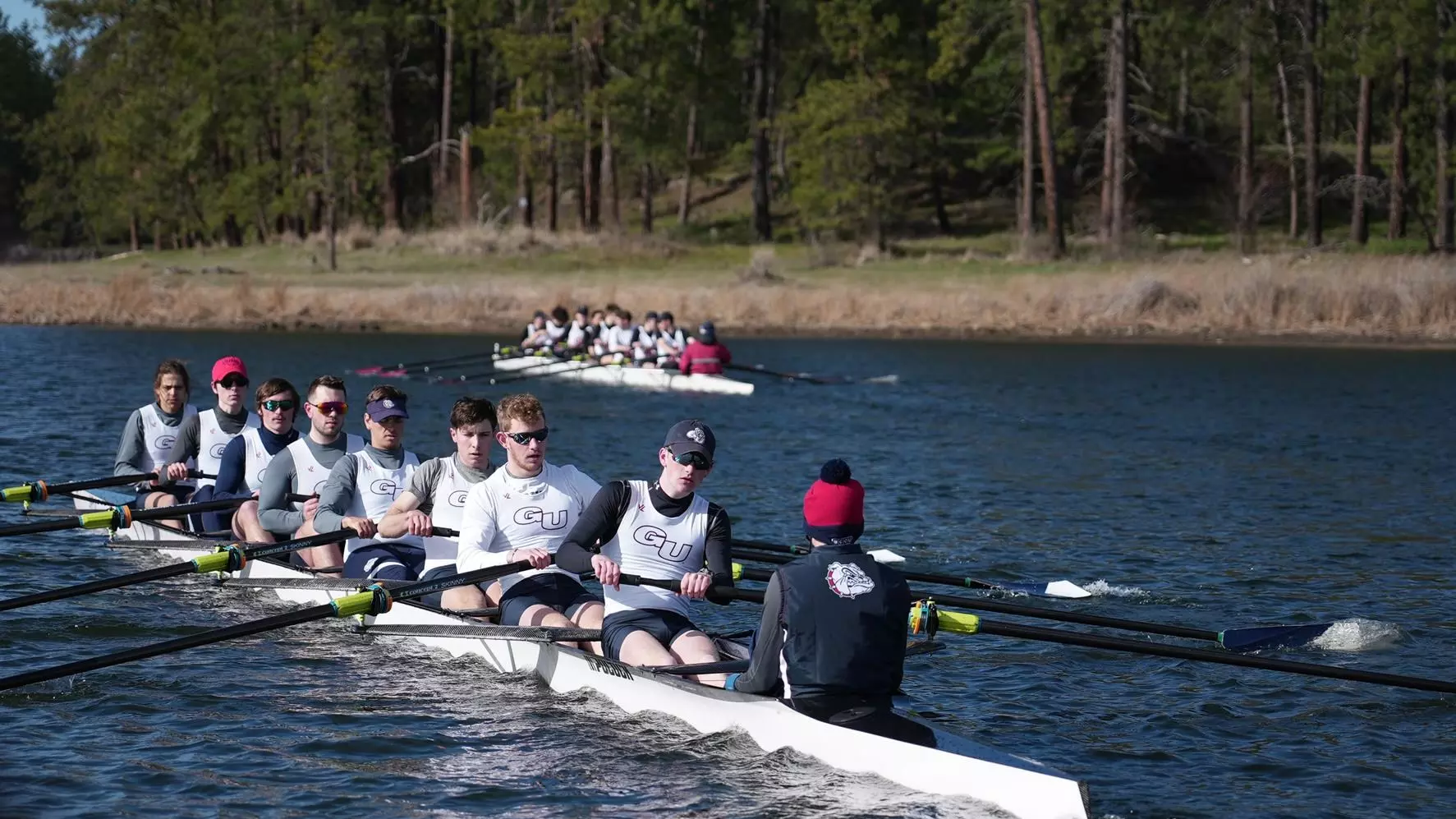 Men's Rowing