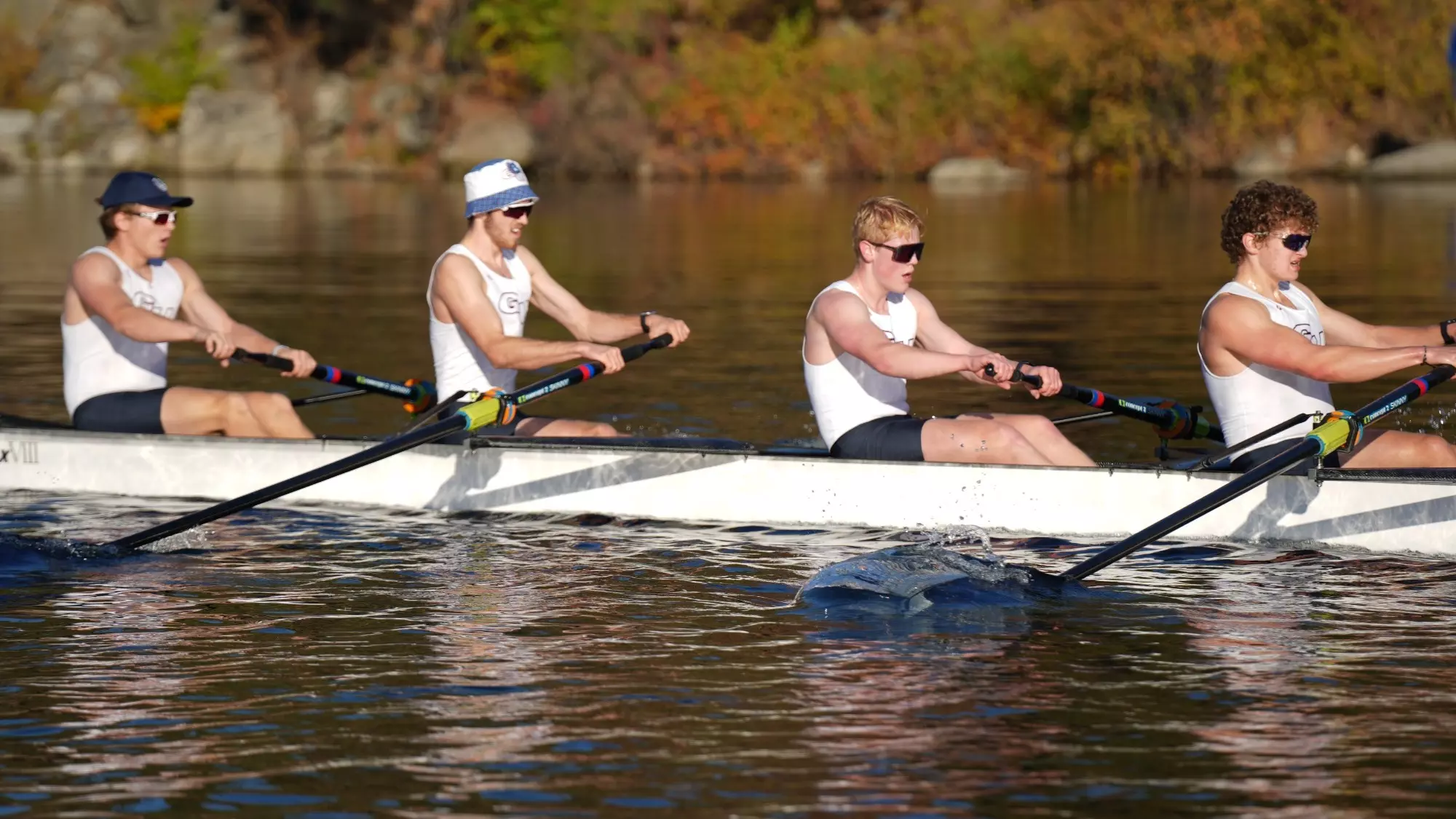 men's rowing