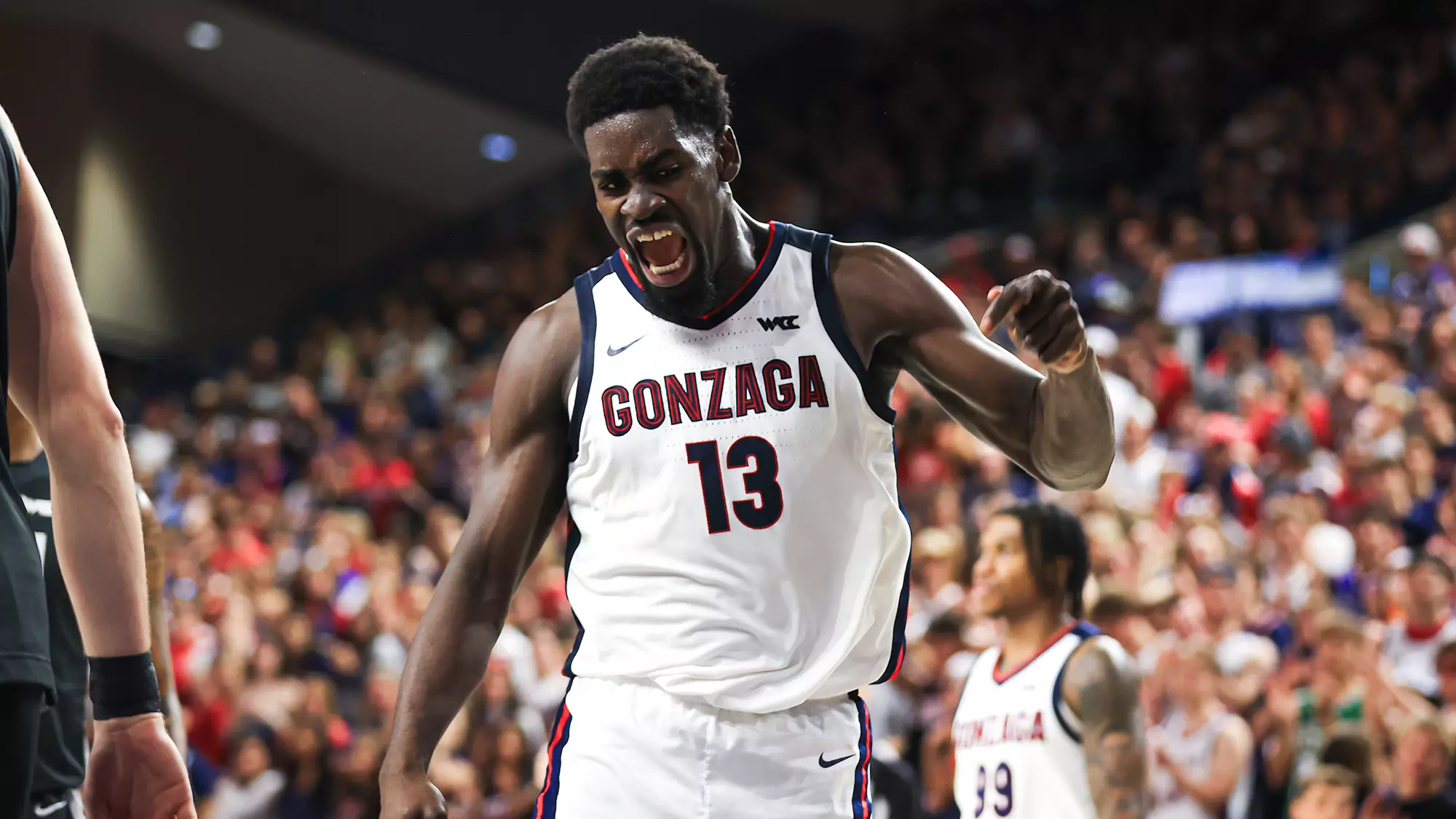 Gonzaga basketball discount