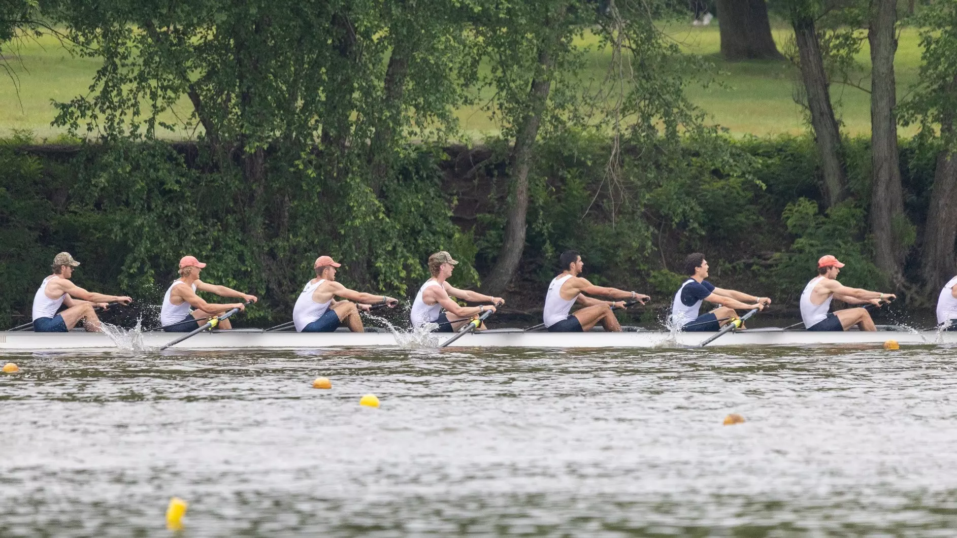 1v8 iras