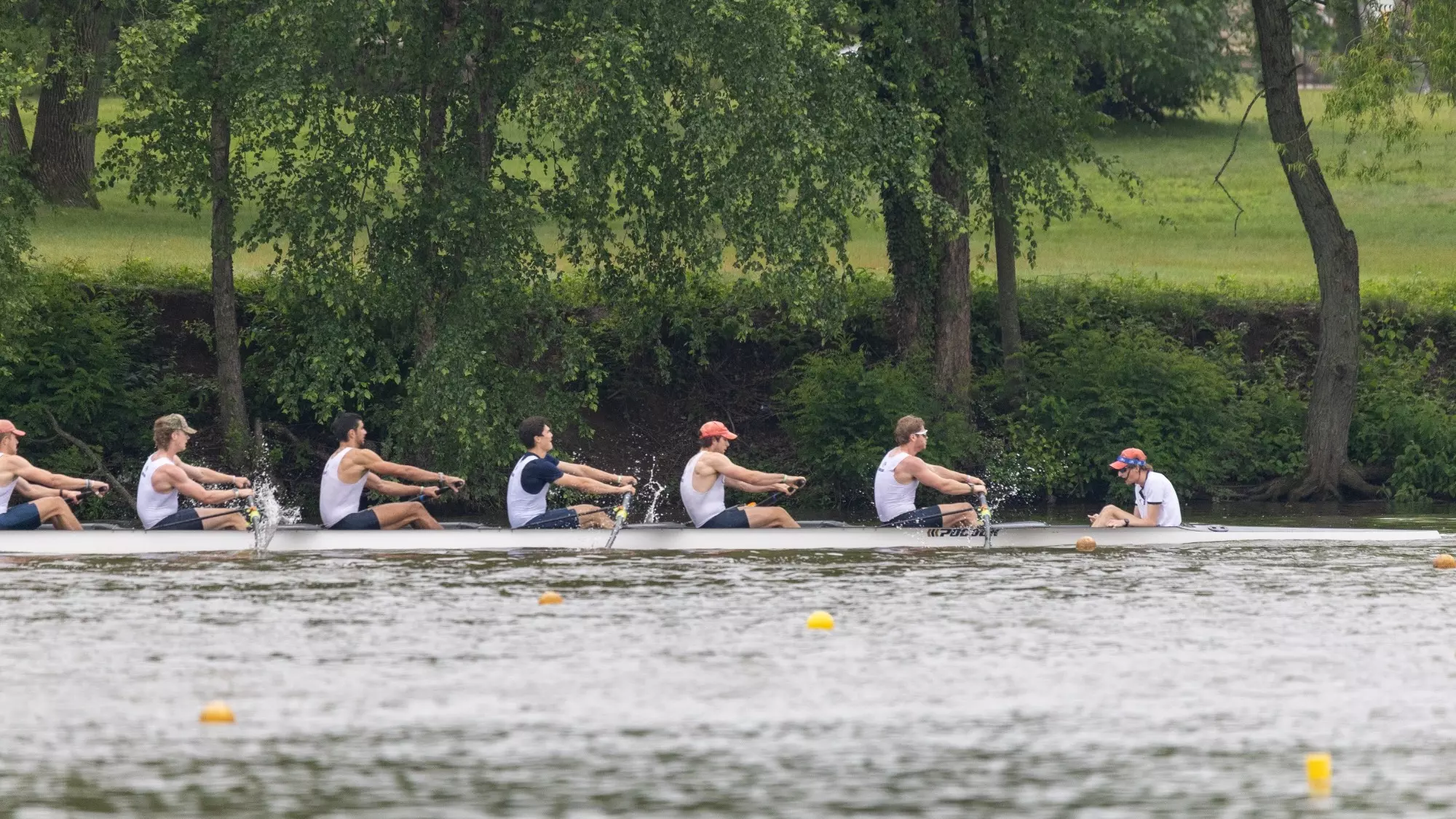 1v8 mrow