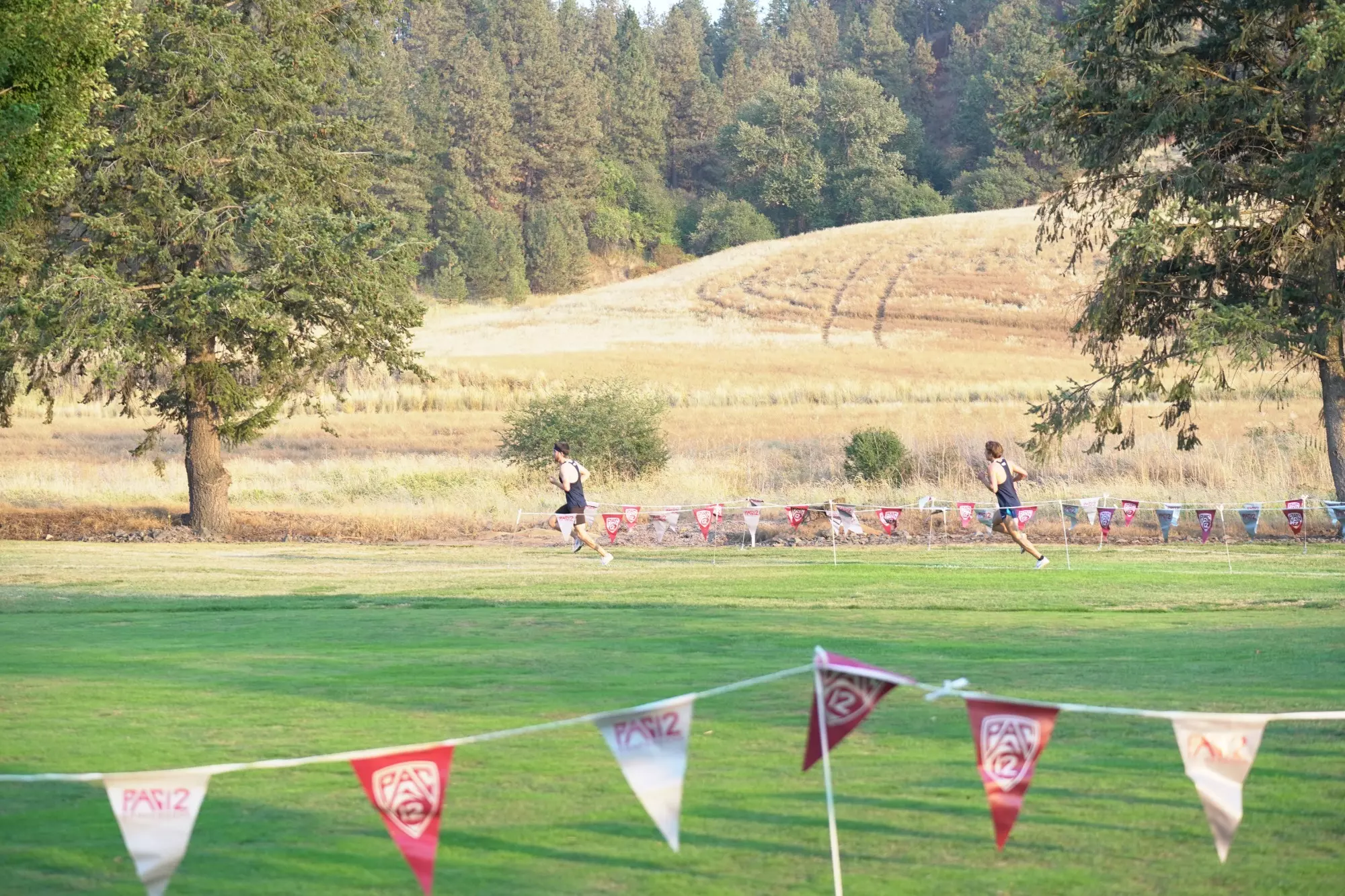 XC Meet 