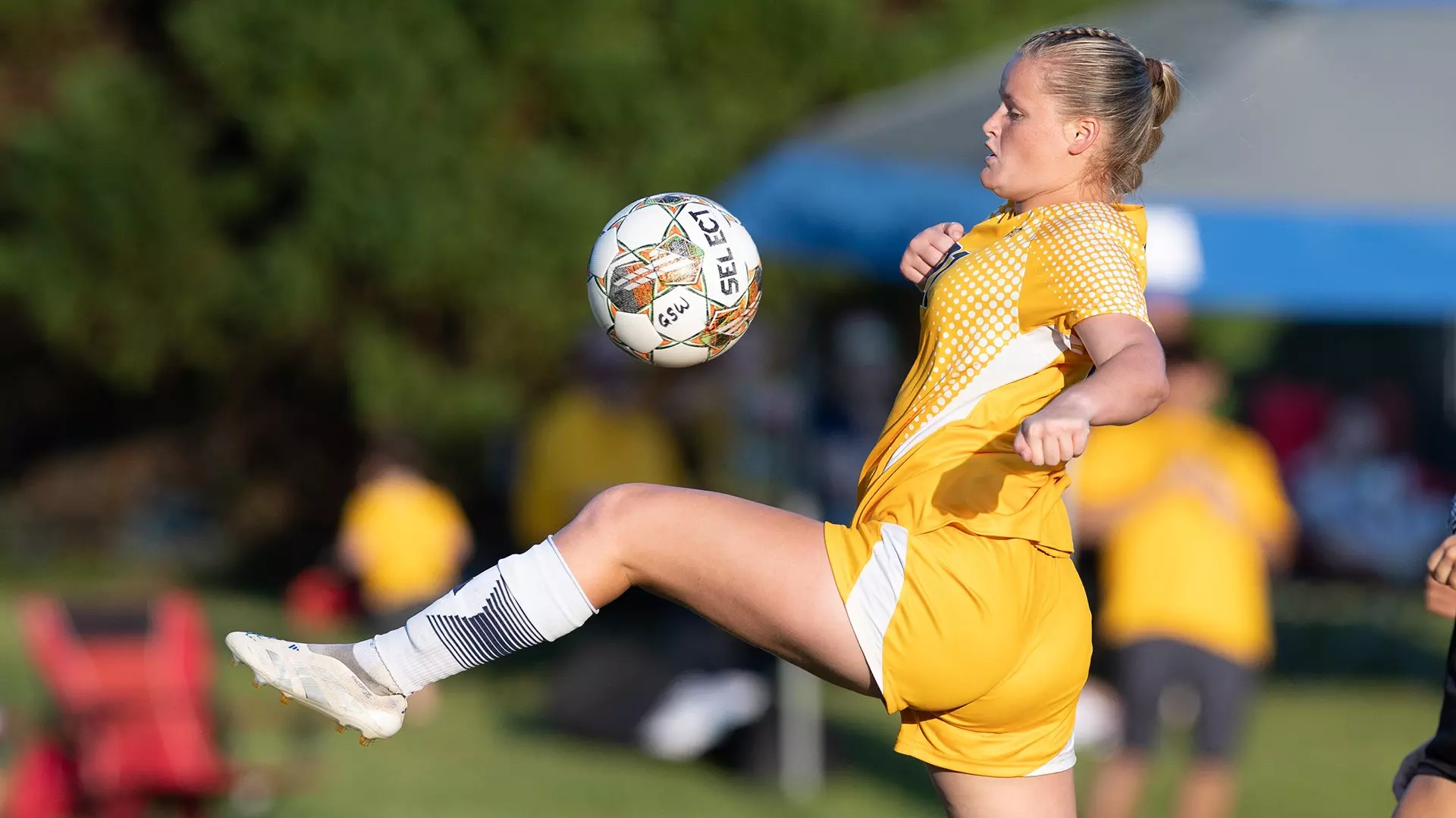 WSOC Recap Rollins