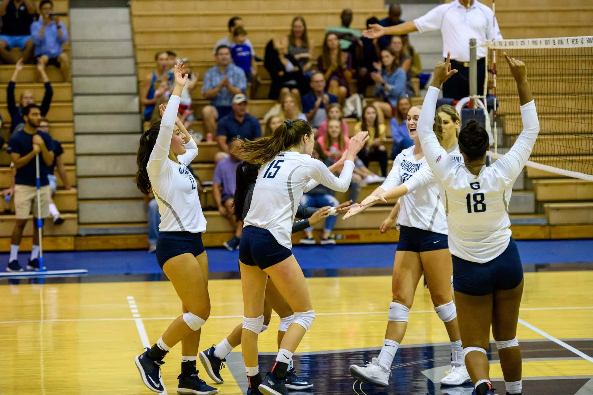 Volleyball Celebration