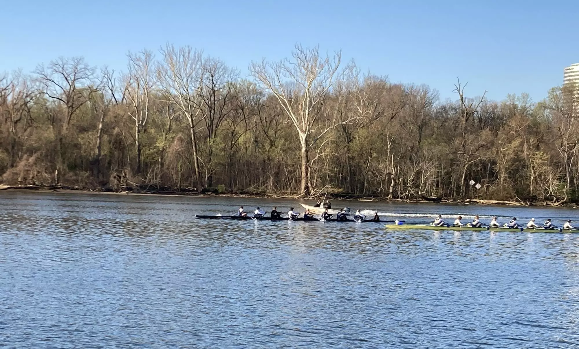 Men's Rowing vs GW